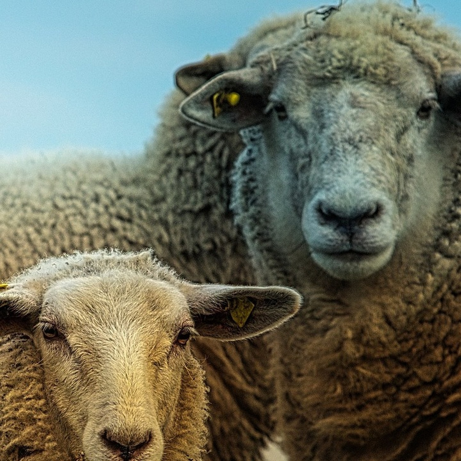 廣東話聖經故事 + 心靈片語 |  Bible Stories + Soul Whispers in Cantonese