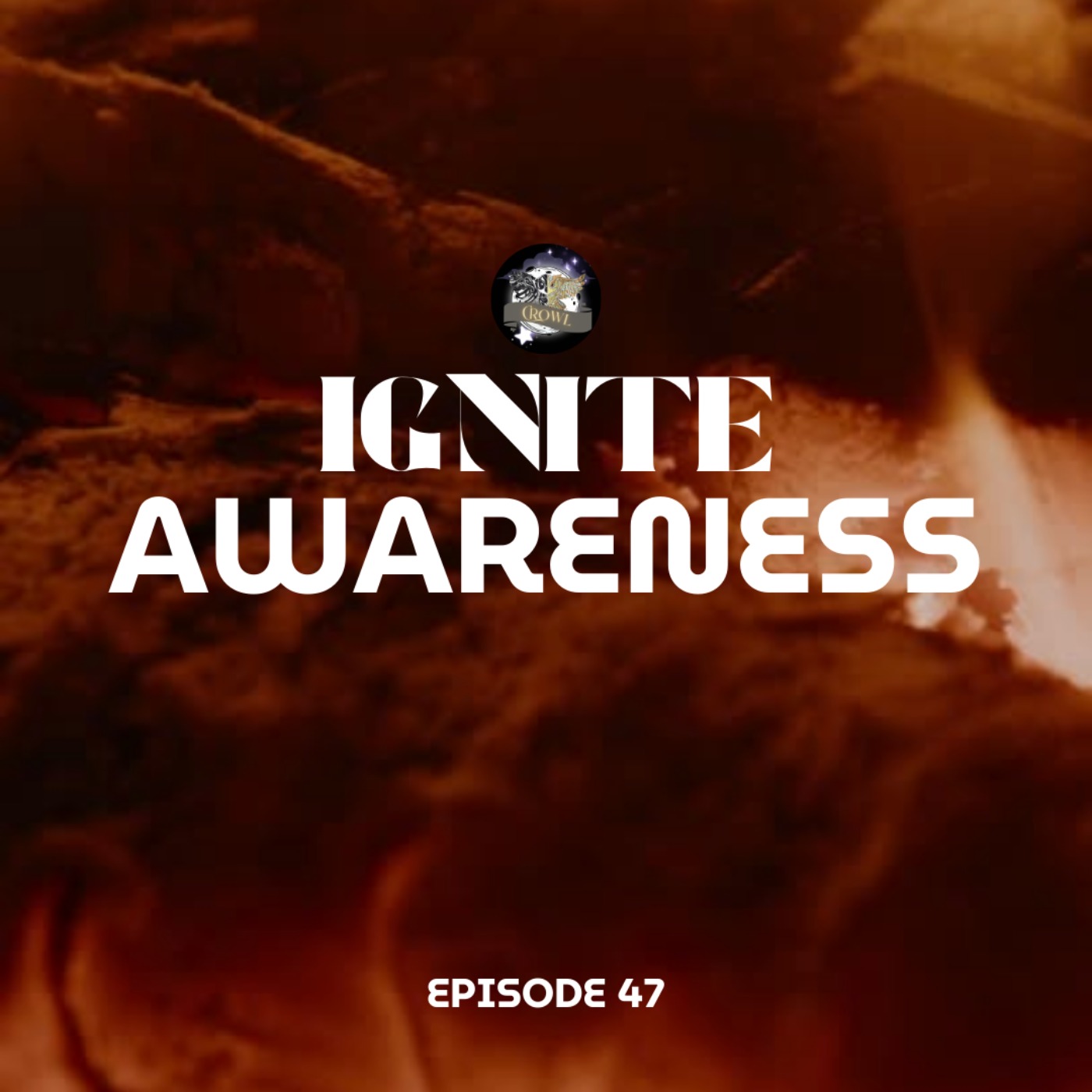 Episode 47: Ignire Awareness episode artwork