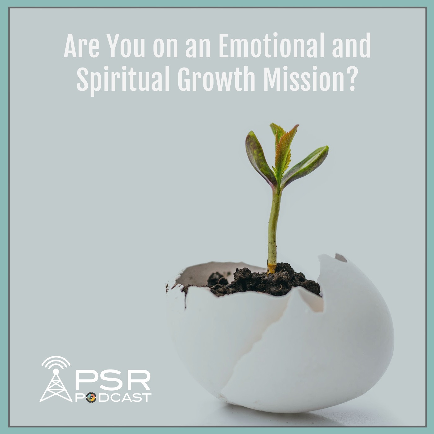 Are You on an Emotional and Spiritual Growth Mission?