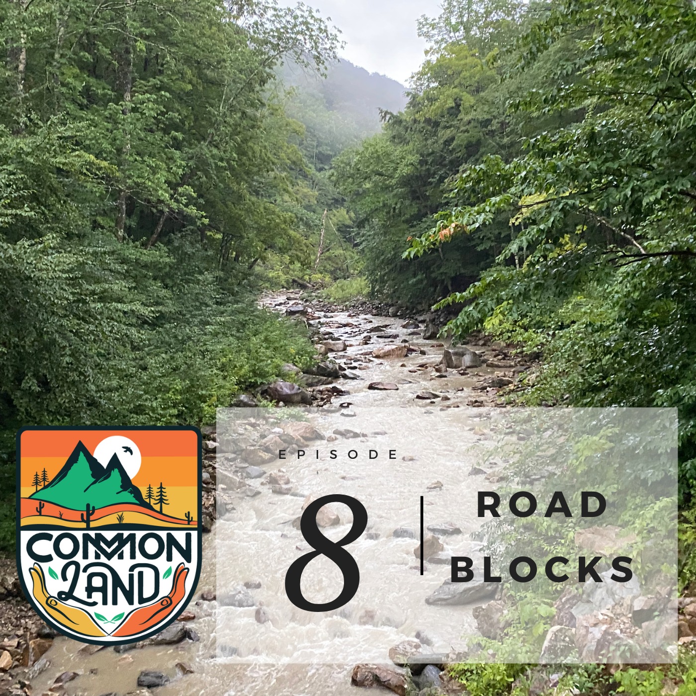 Appalachian Trail Episode 8: Roadblocks
