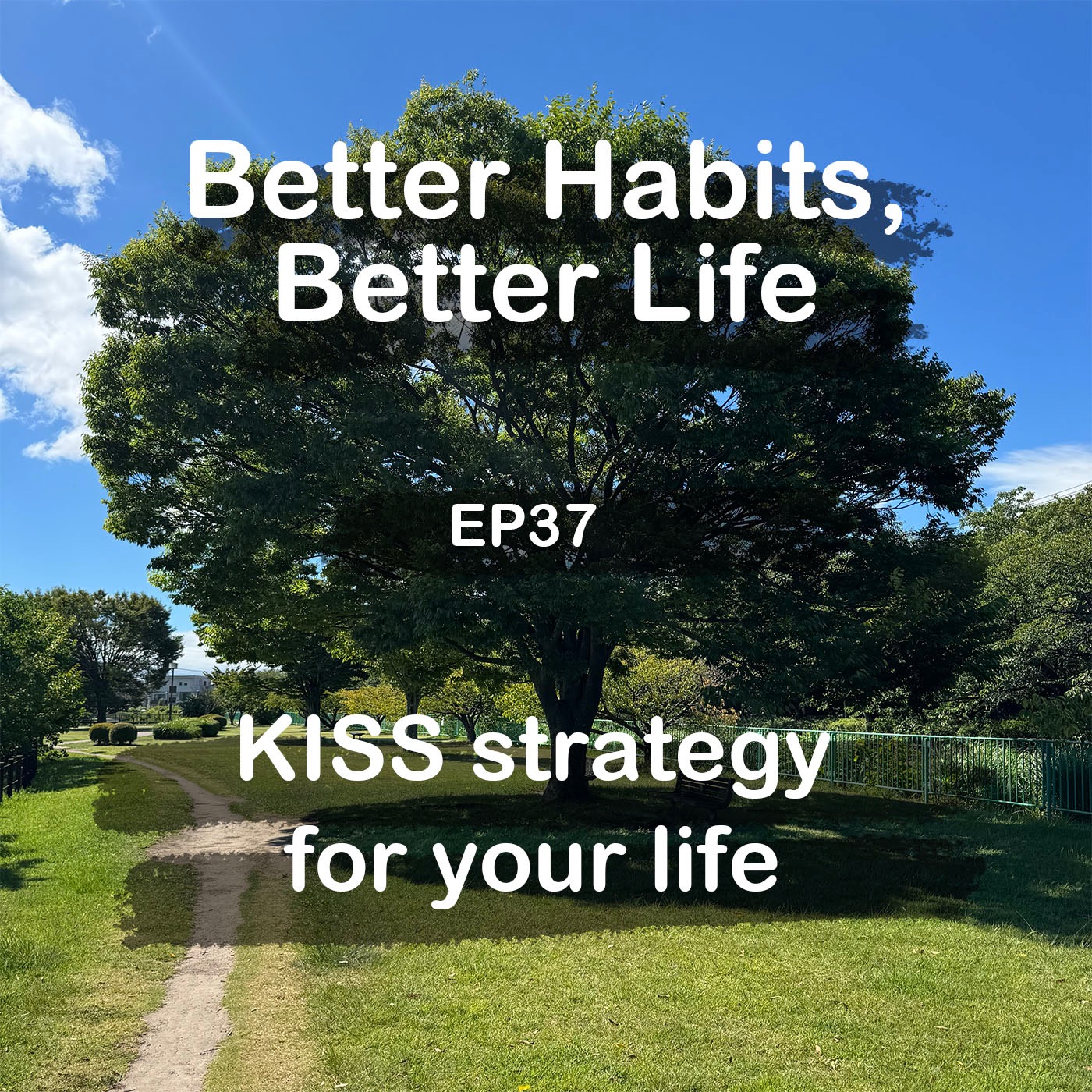 K.I.S.S. strategy for your life episode artwork
