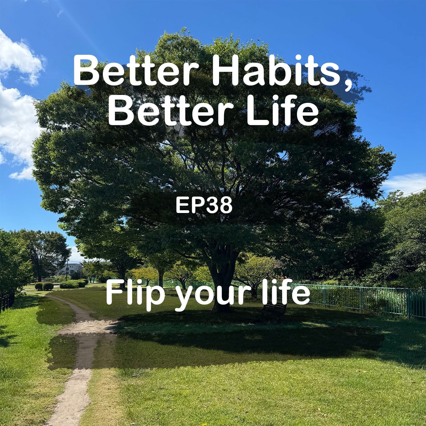 Flip your life with a small thing episode artwork