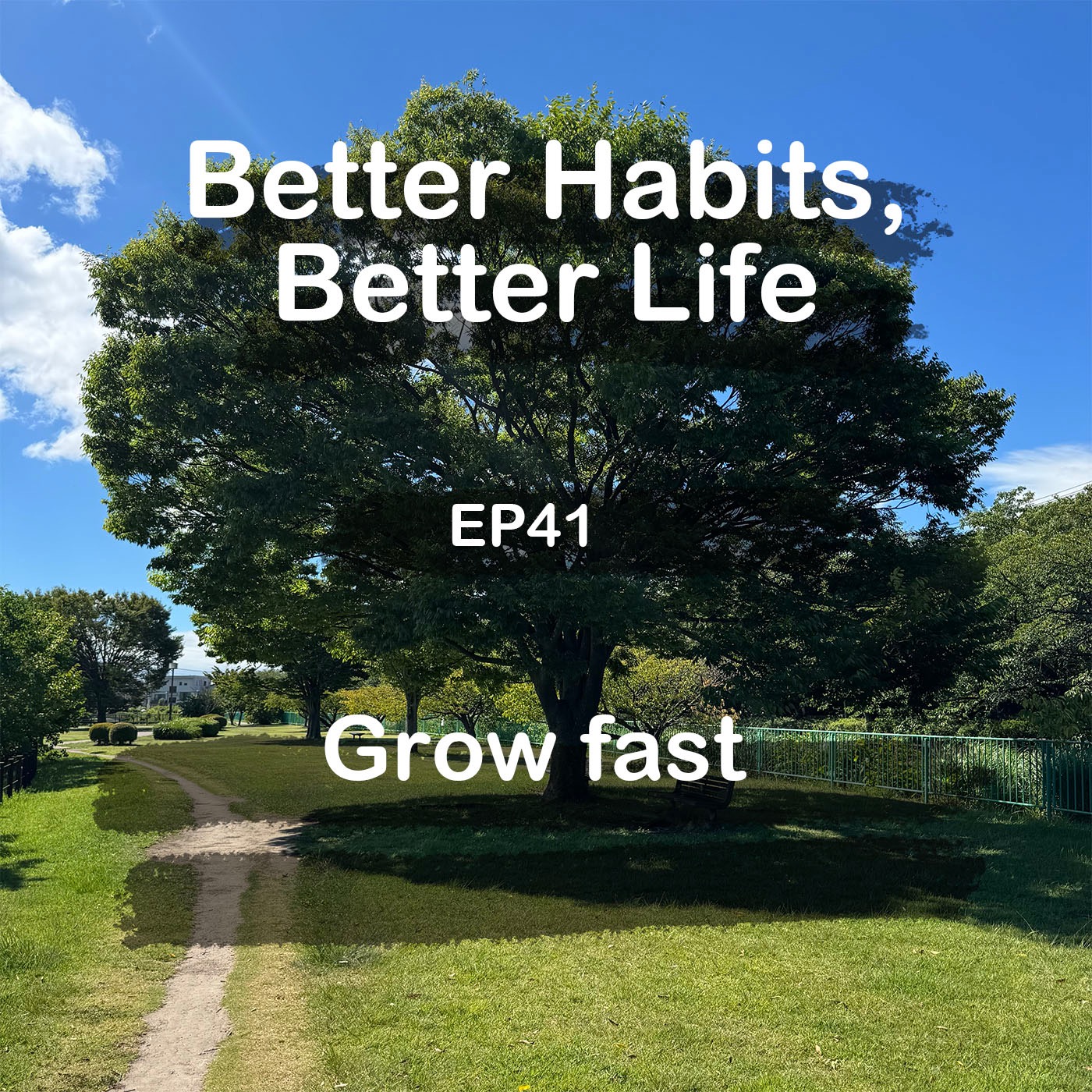 Learn these to GROW FAST episode artwork