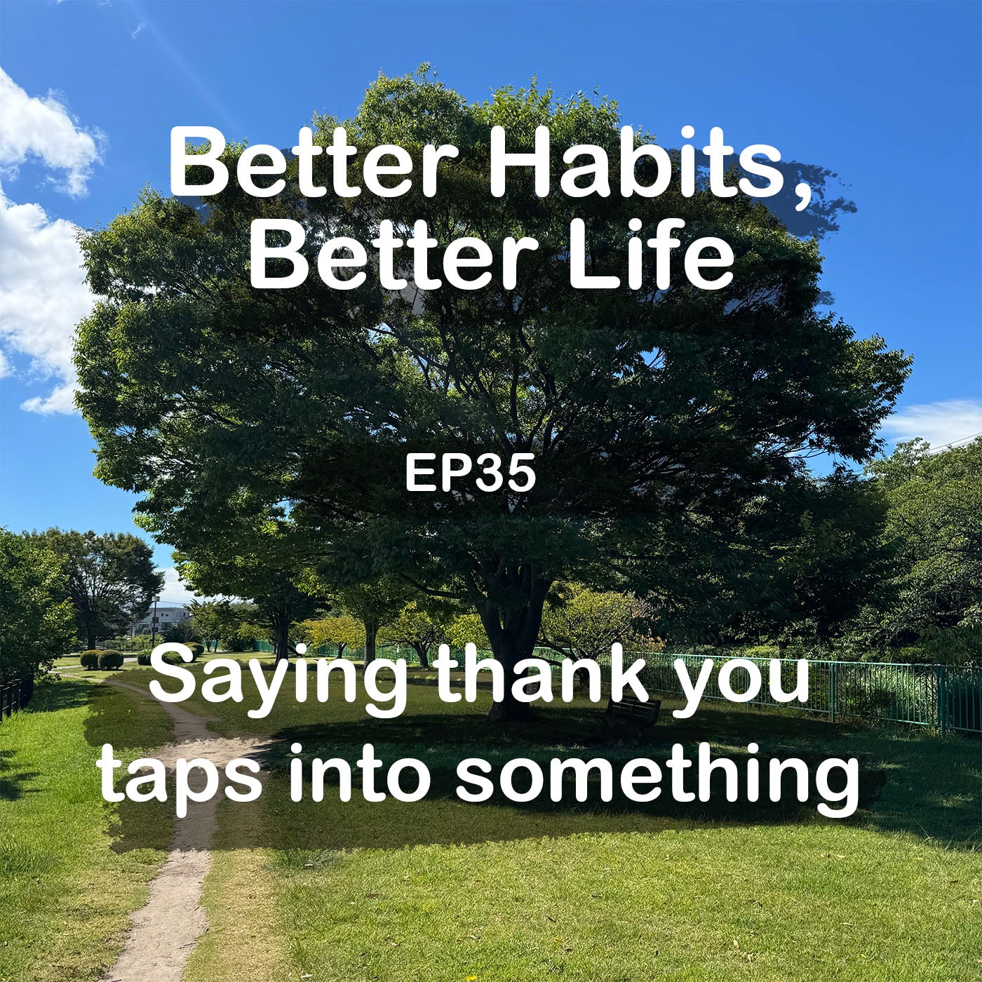 Saying thank you makes you beautiful episode artwork