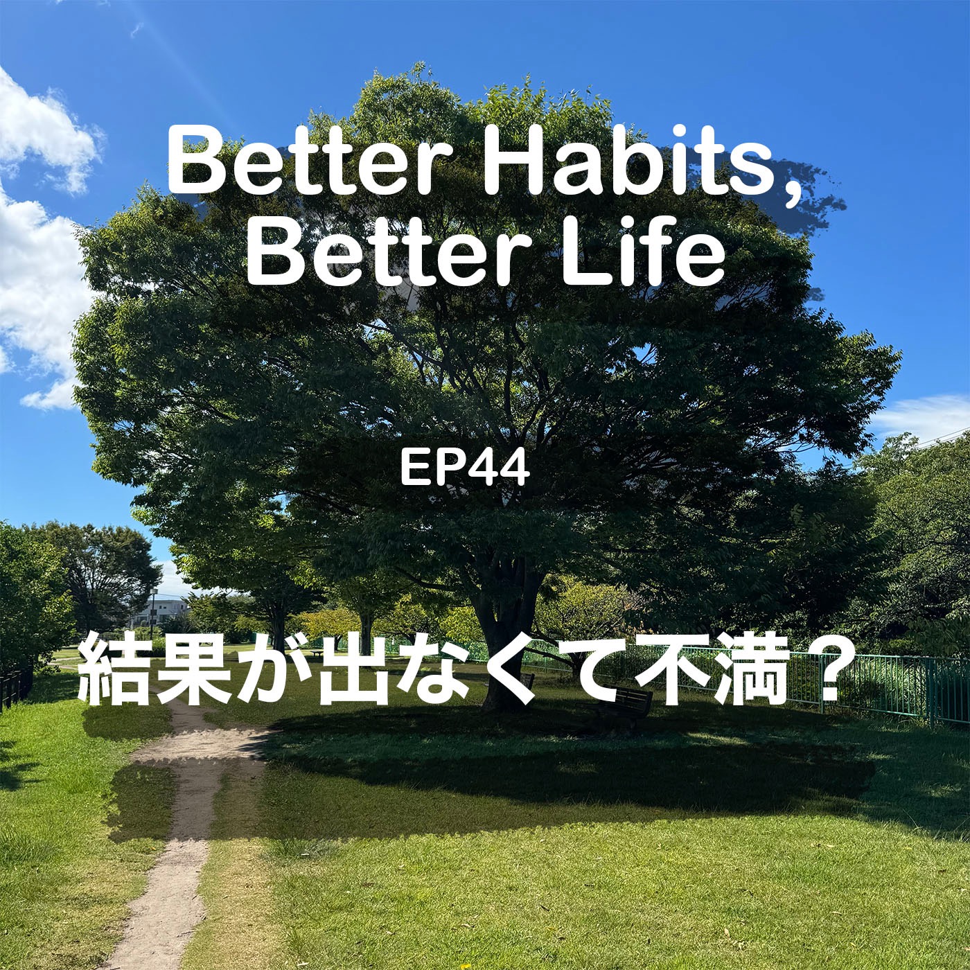 なかなか実らない内面的な努力に実感が湧くきっかけ episode artwork
