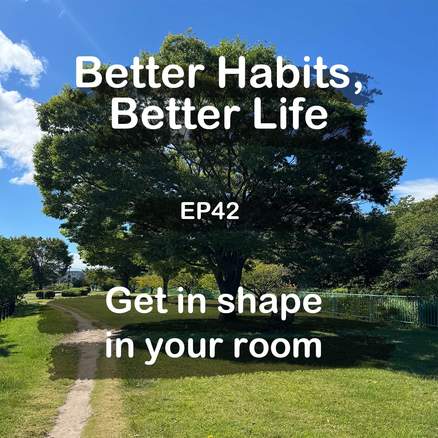 GET in SHAPE in your room episode artwork