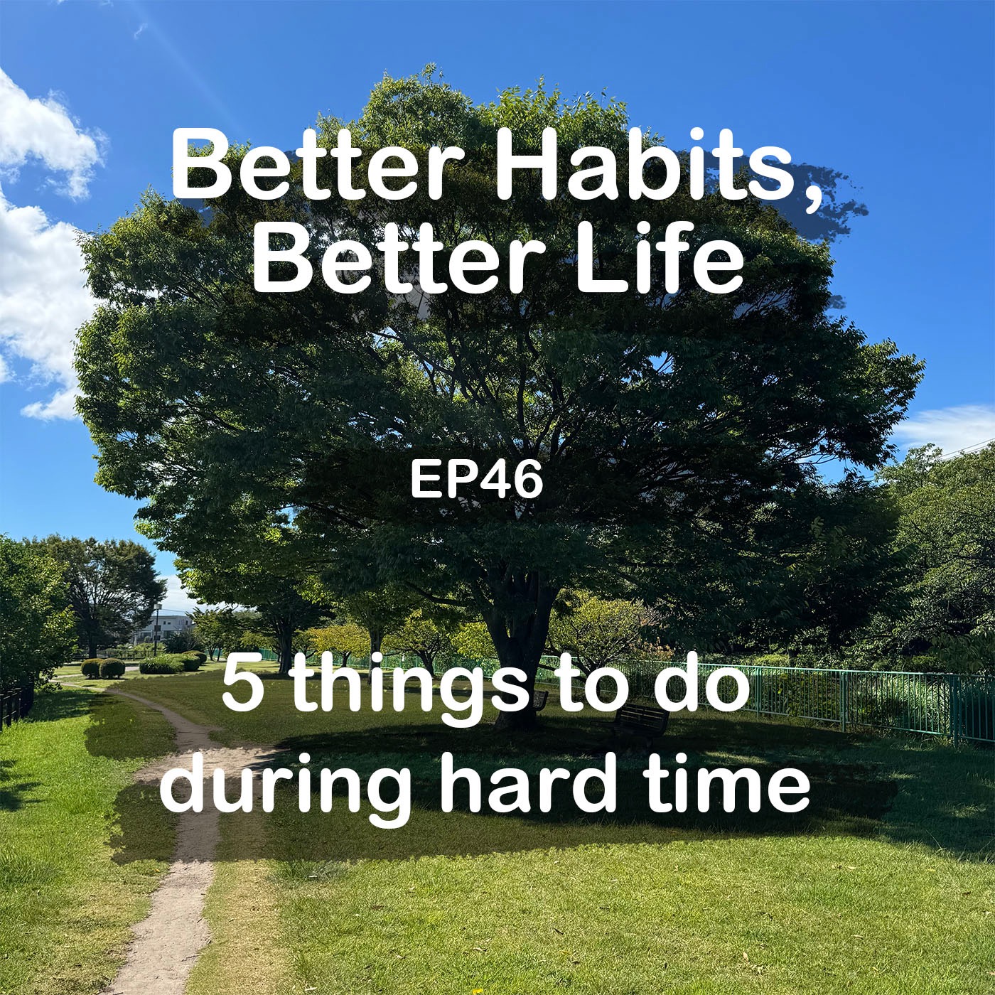 5 things to do during mentally suffering time episode artwork
