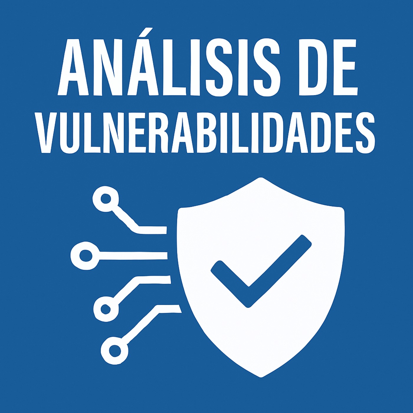 Capítulo 16 (Análisis de vulnerabilidades. Parte 1/2)