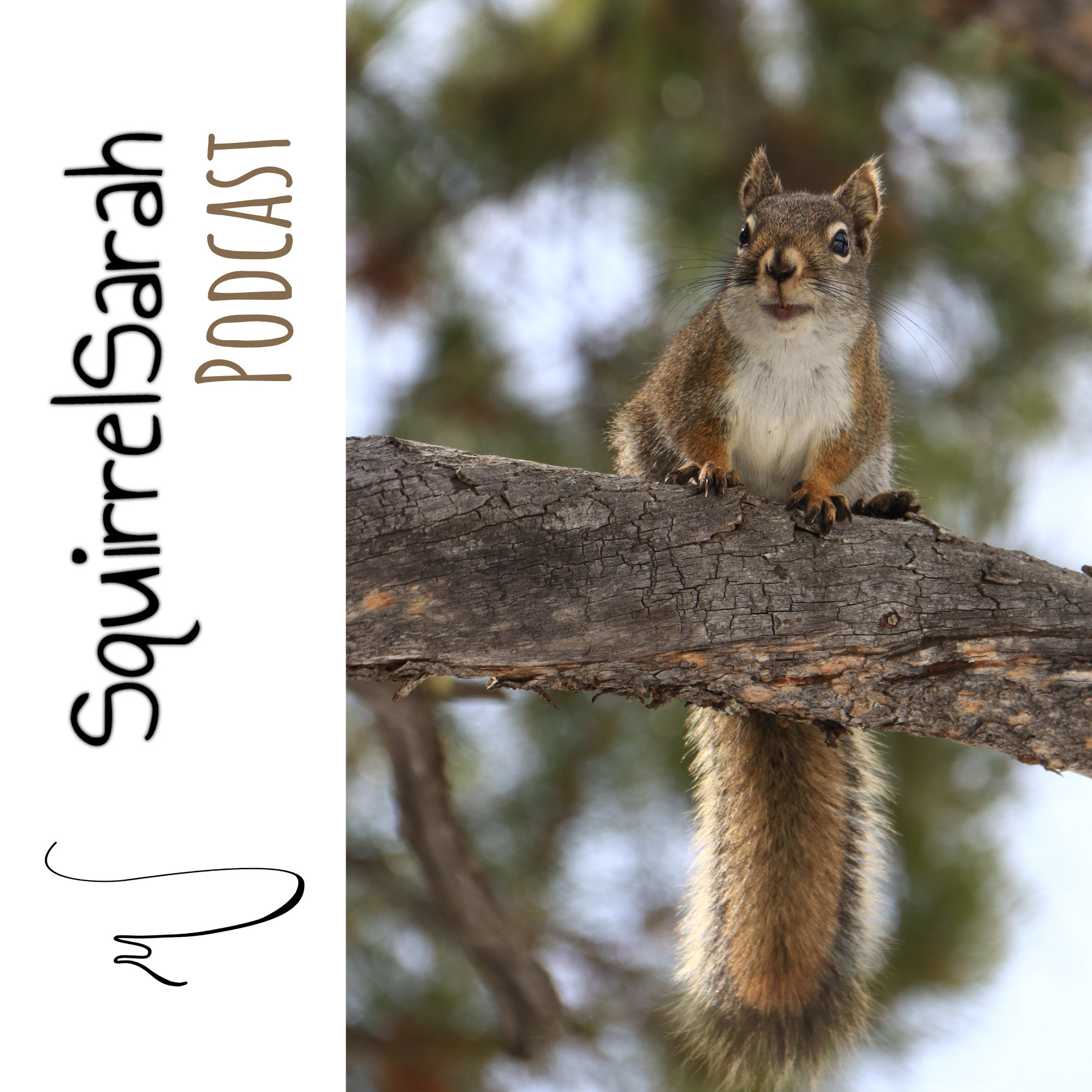 SquirrelSarah