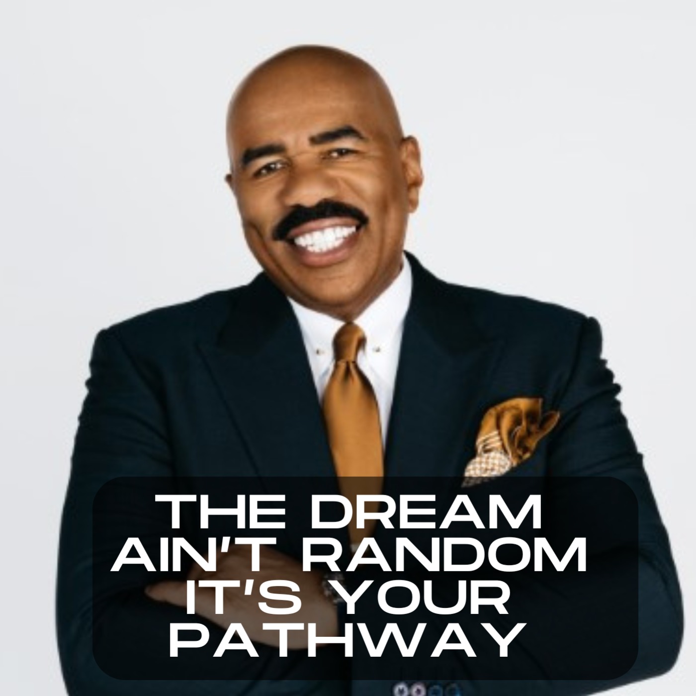 The Steve Harvey Experience