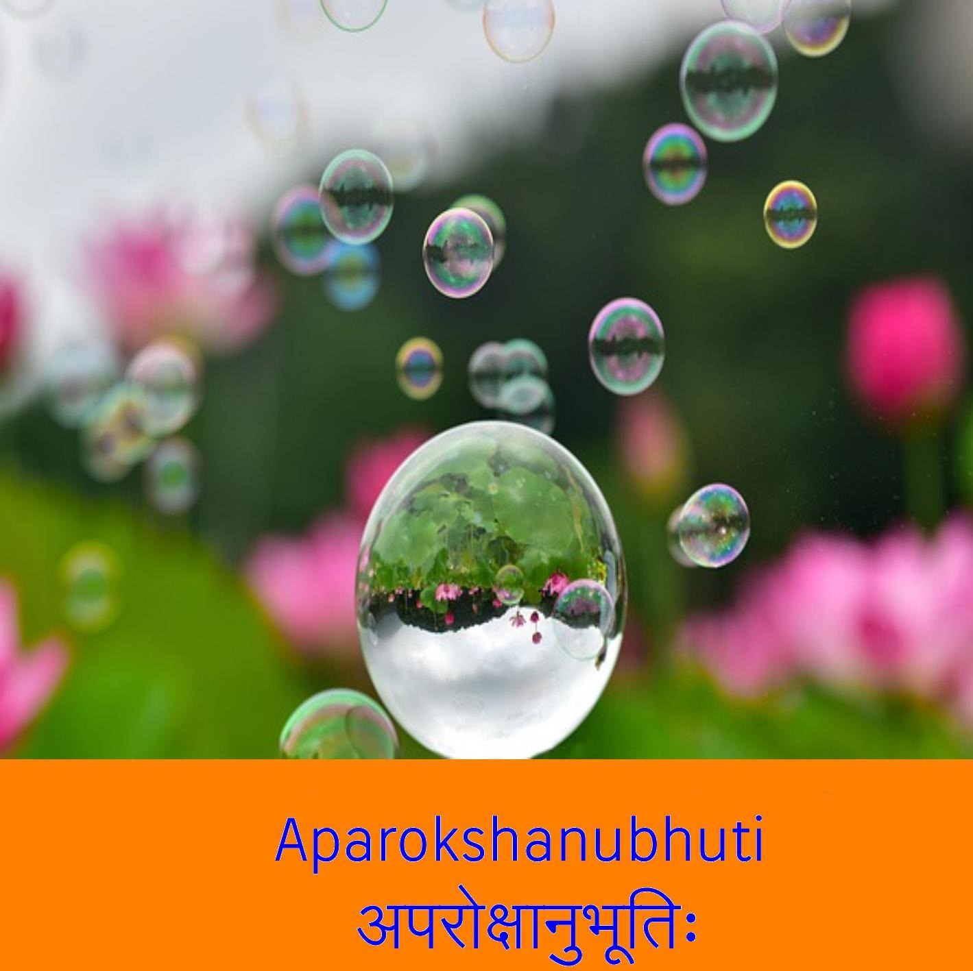 Aparokshanubhuti-17