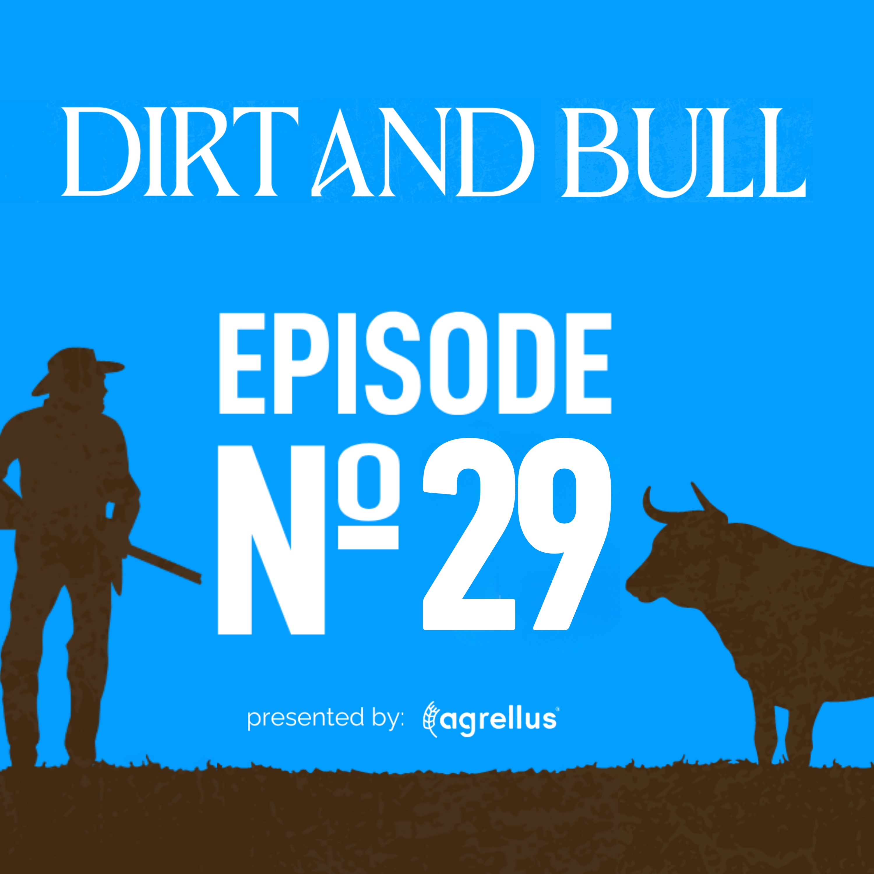 Dirt and Bull