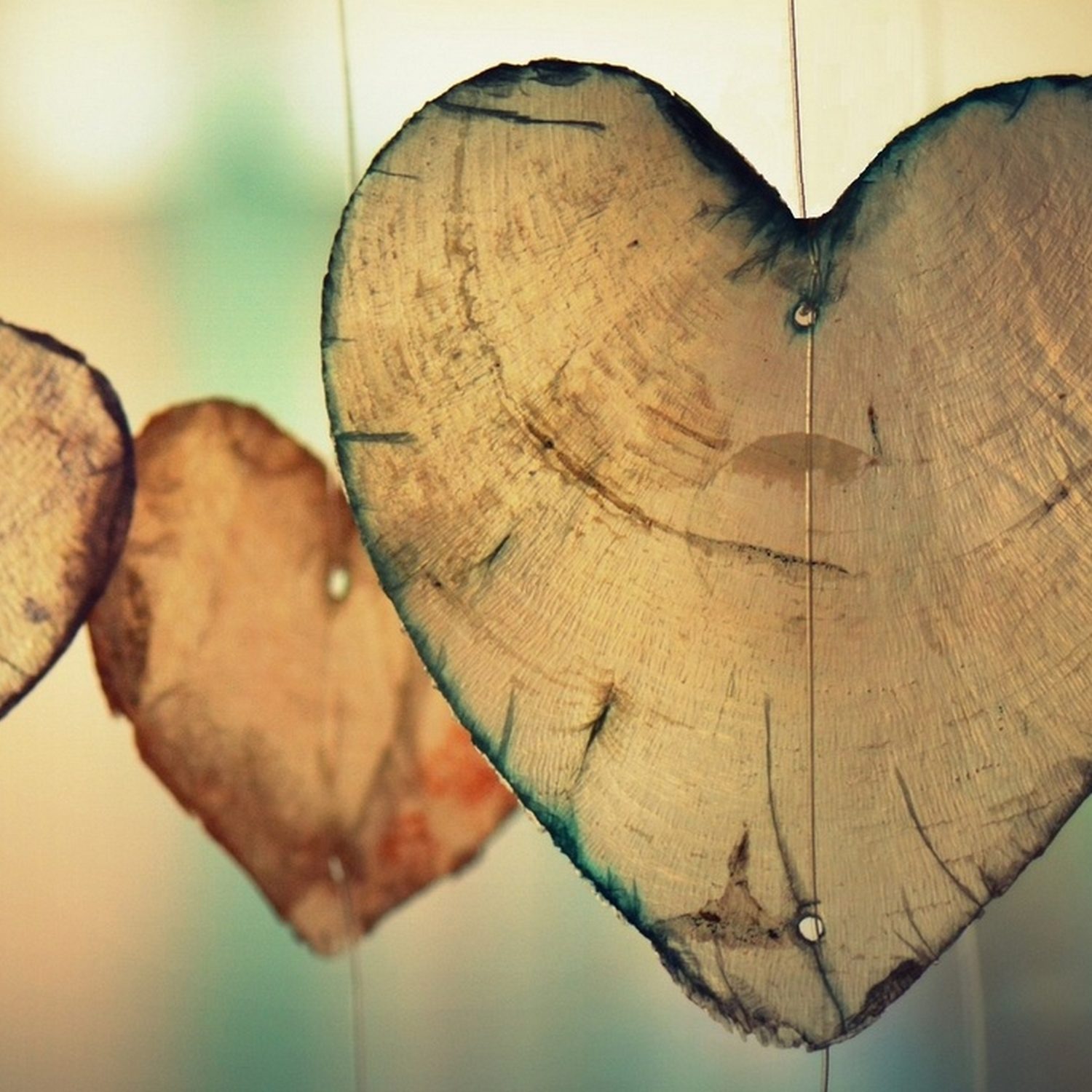 廣東話聖經故事 + 心靈片語 |  Bible Stories + Soul Whispers in Cantonese