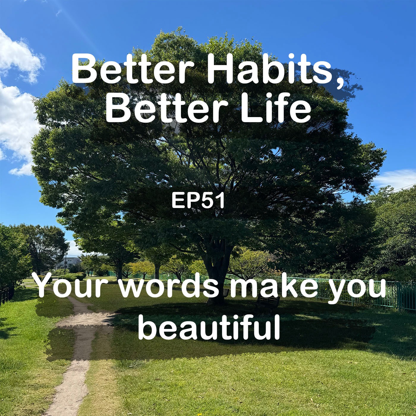 Your words make you beautiful | #51 Koji Ohata episode artwork