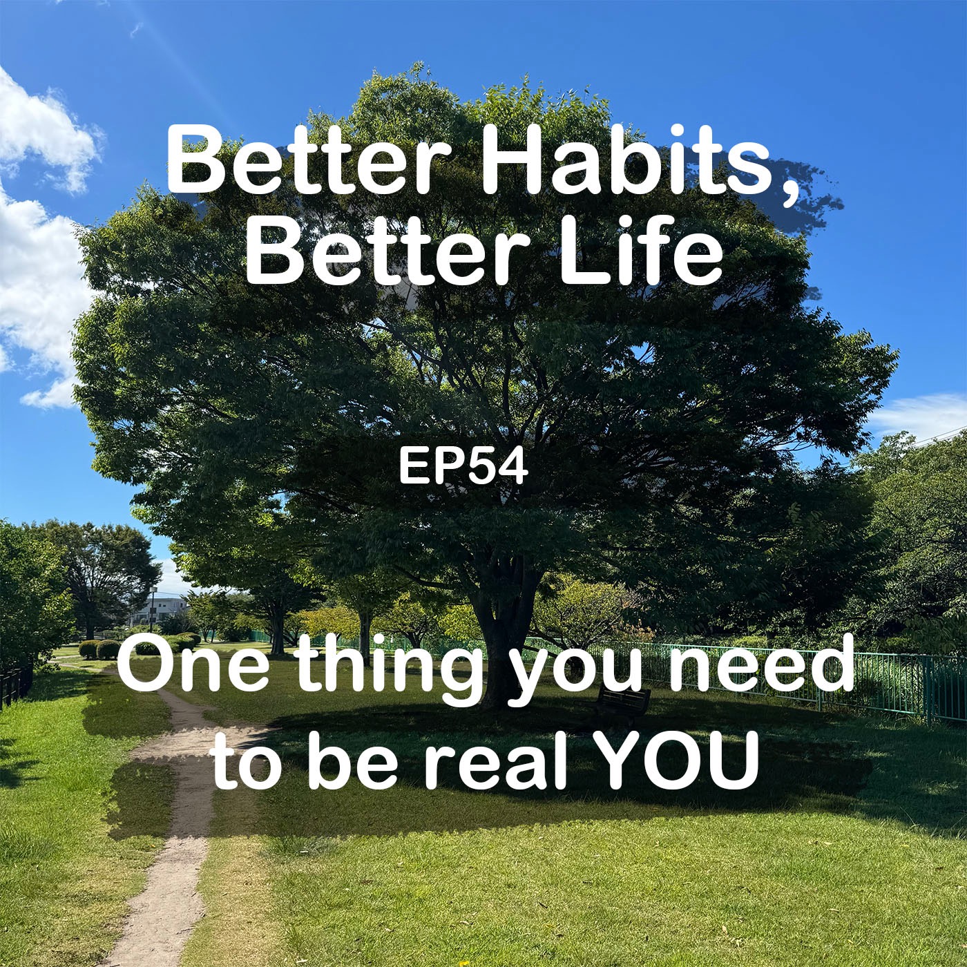One thing you need to be real YOU | #54 Koji Ohata episode artwork