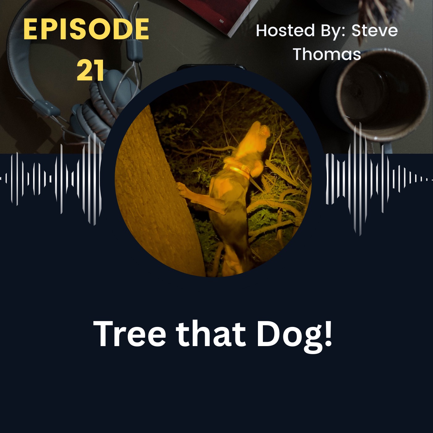 Stay Put on That Tree Dangit