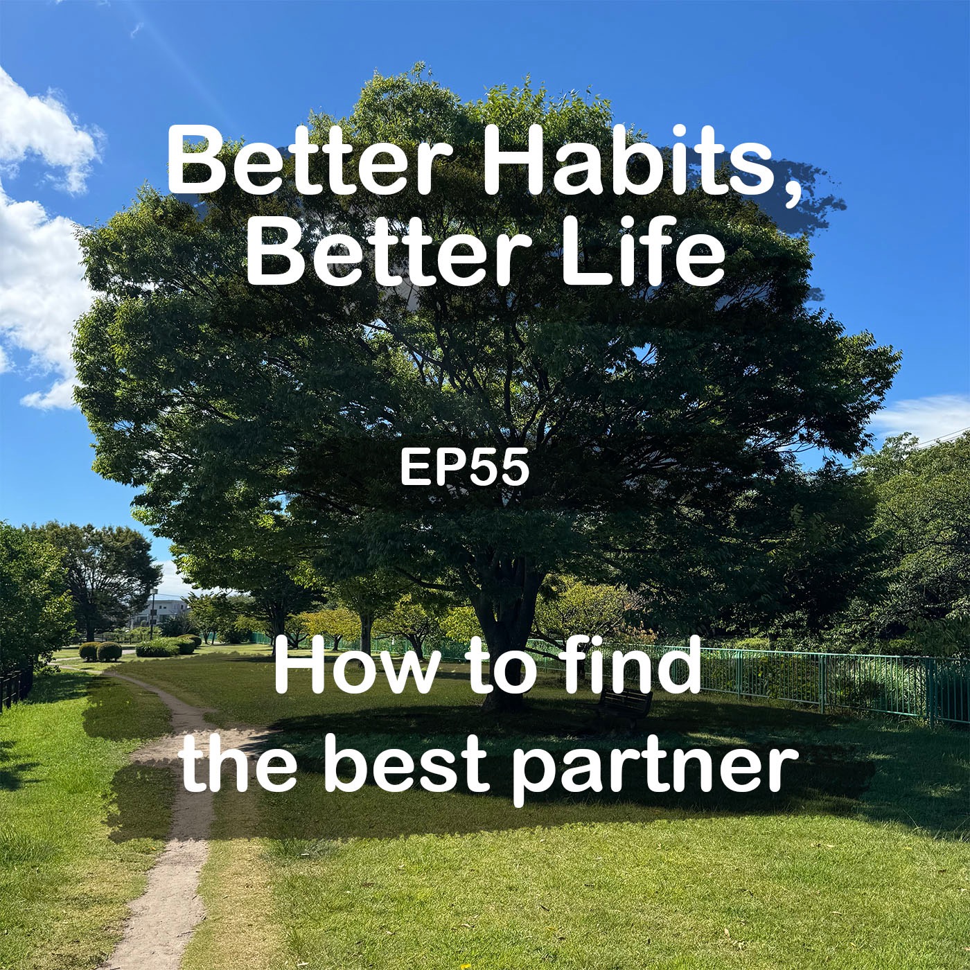 How to find the best partner | #55 Koji Ohata episode artwork