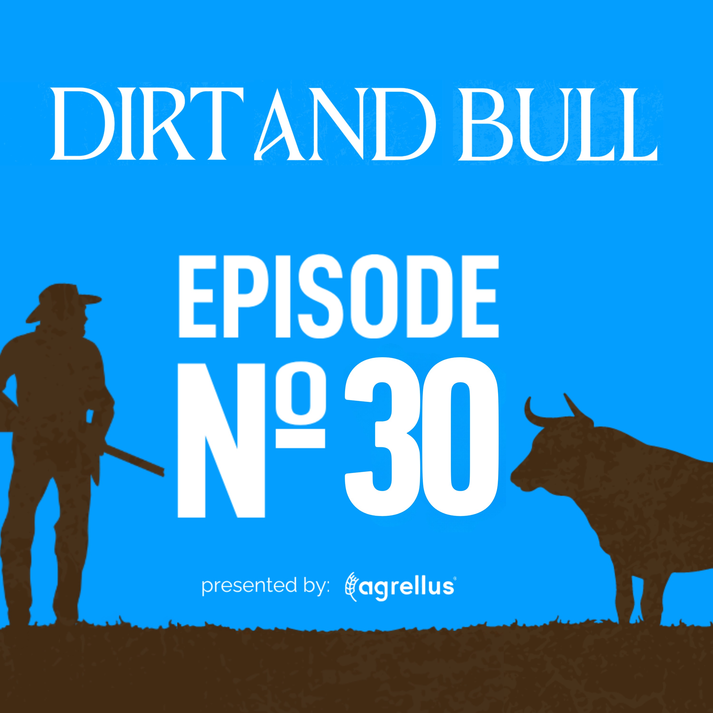 Dirt and Bull
