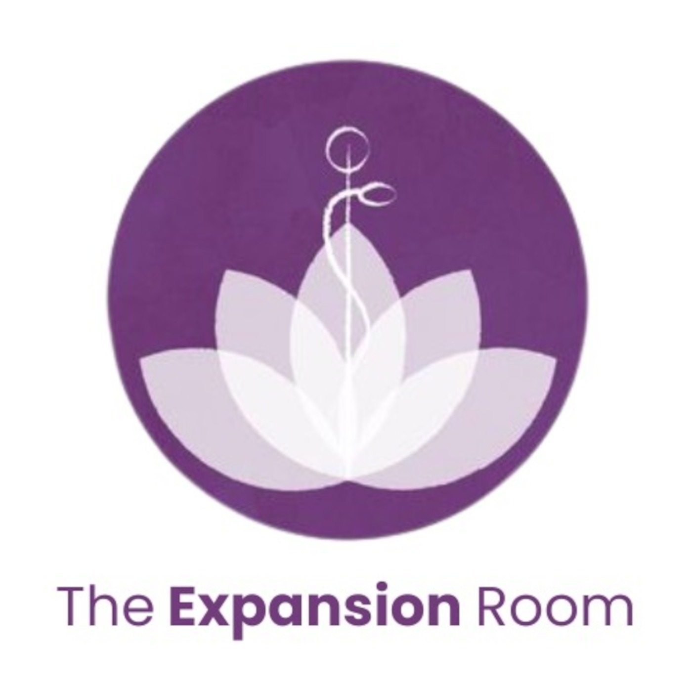 The Expansion Room
