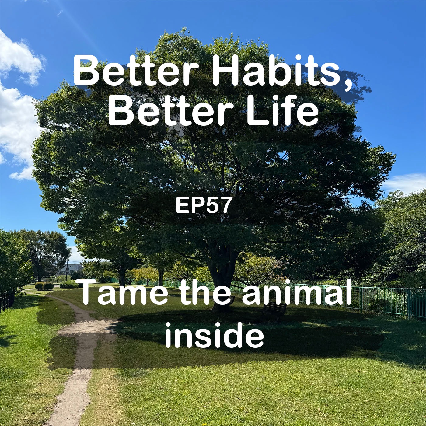 Handle urge to grow higher | #57 Koji Ohata episode artwork
