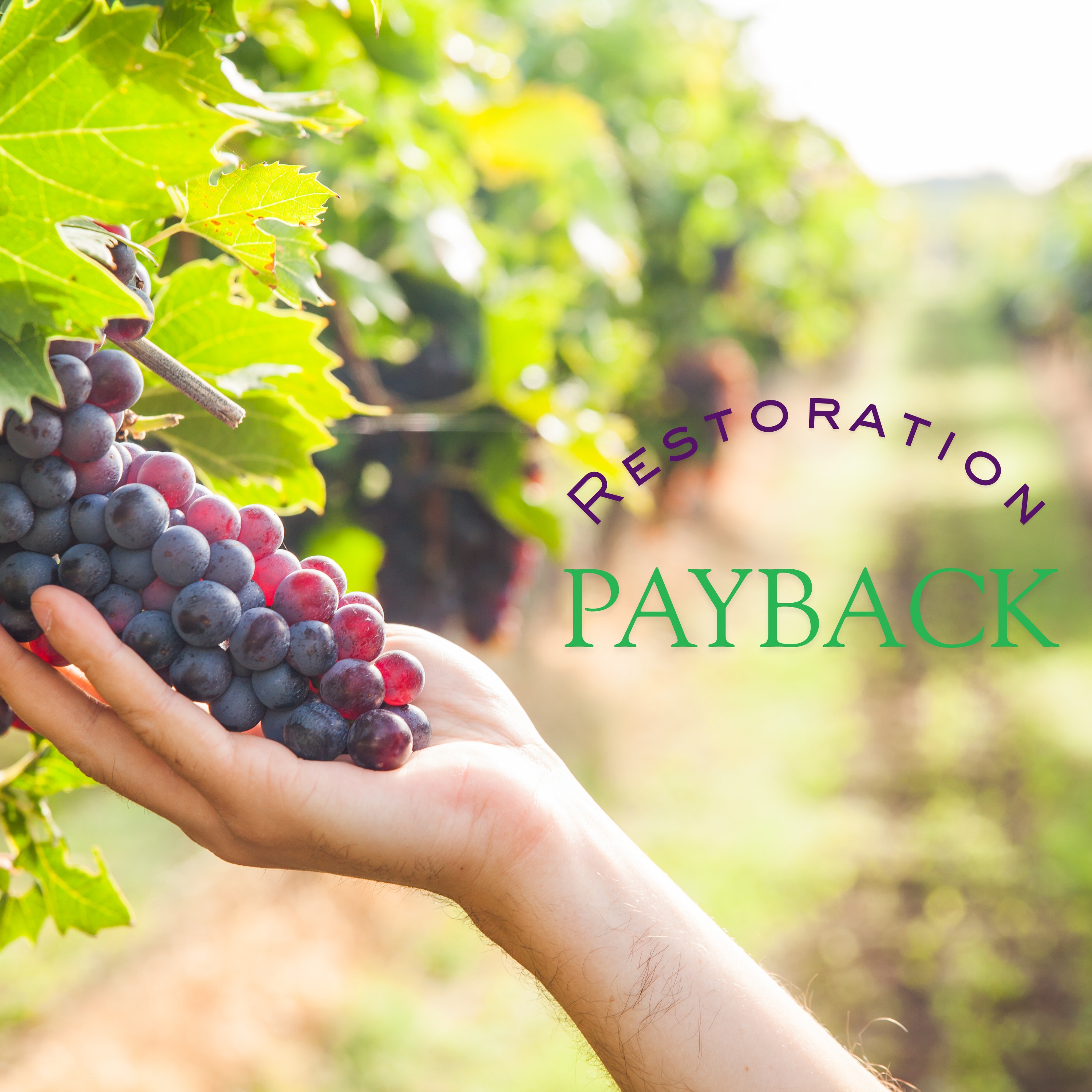 Restoration & Payback Is Here!