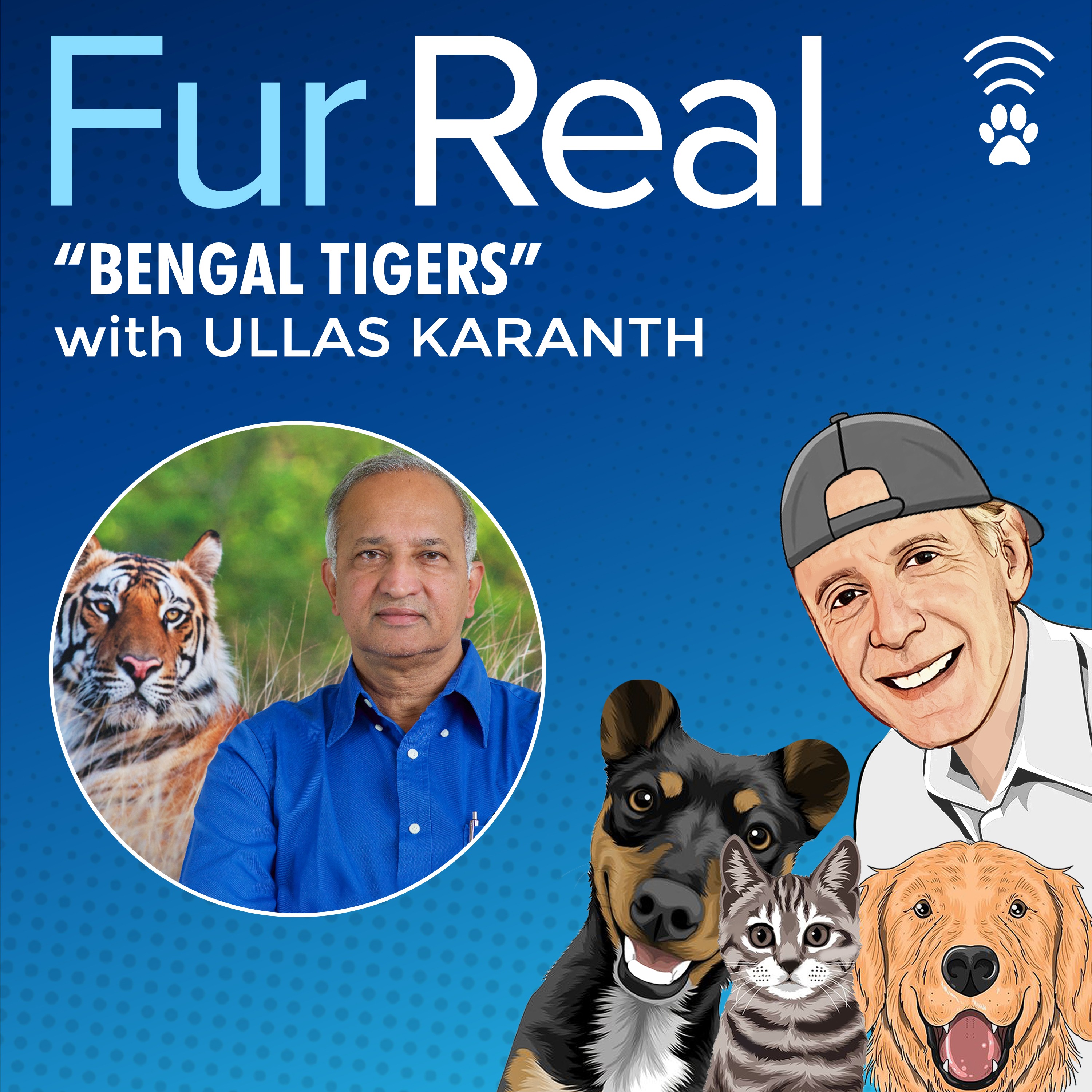 "BENGAL TIGERS" with Ullas Karanth