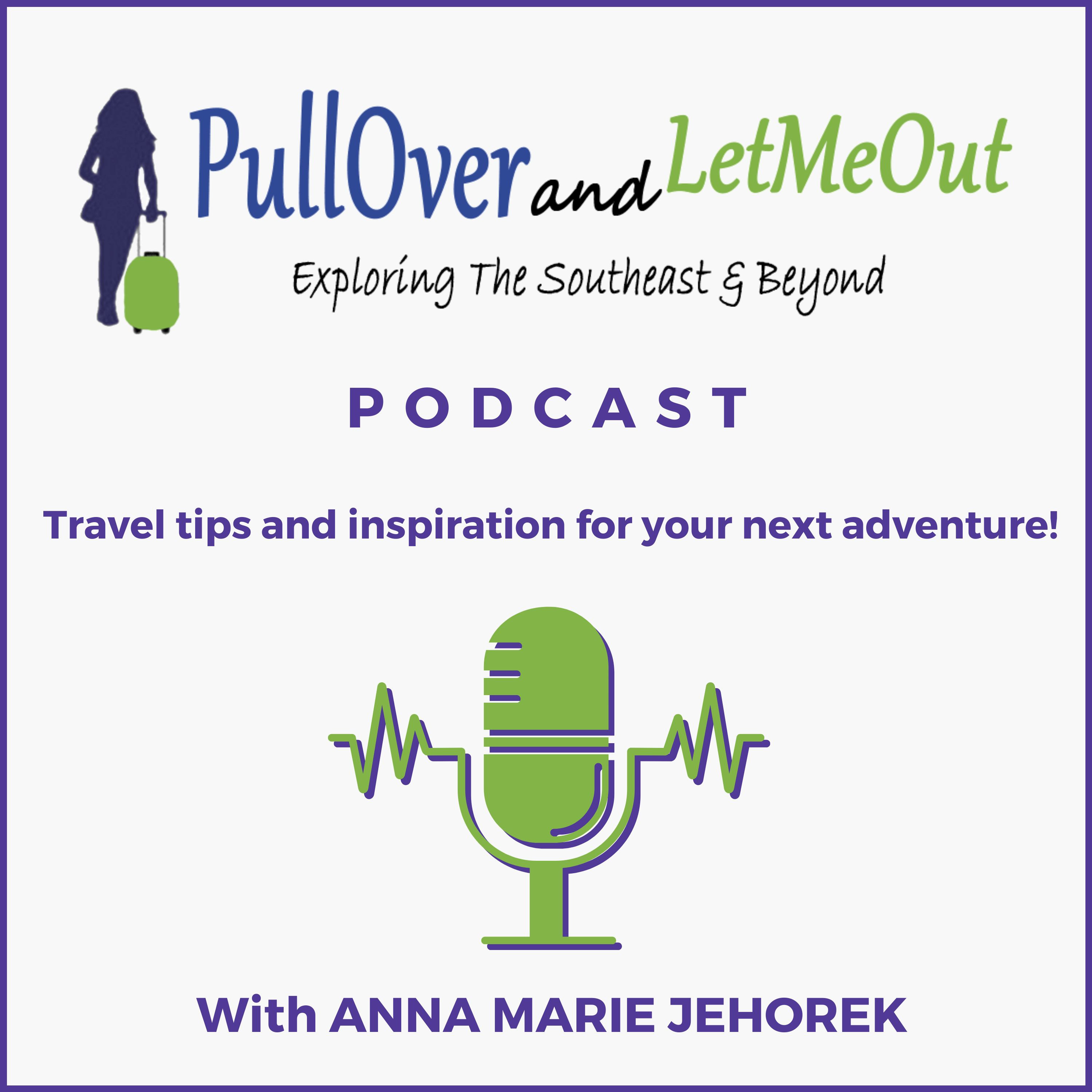 Pull Over and Let Me Out