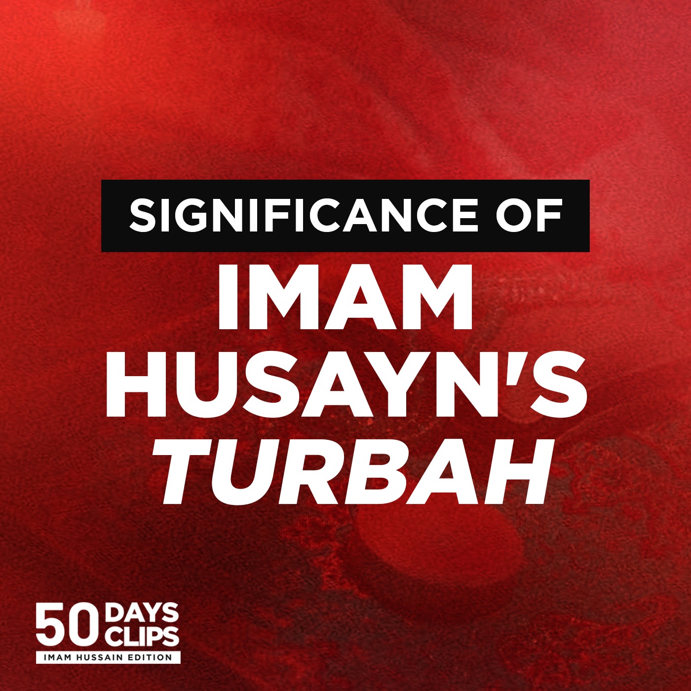 Day 42: Soil of Imam Husayn's Grave in the words of Imam Sadiq | Sayed Saleh Qazwini episode artwork