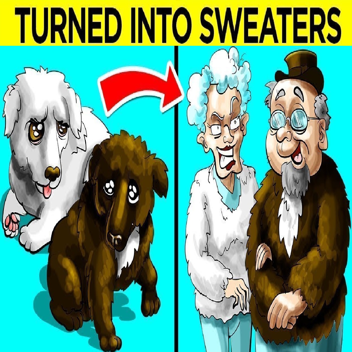 Strangest Pet Owners In The World