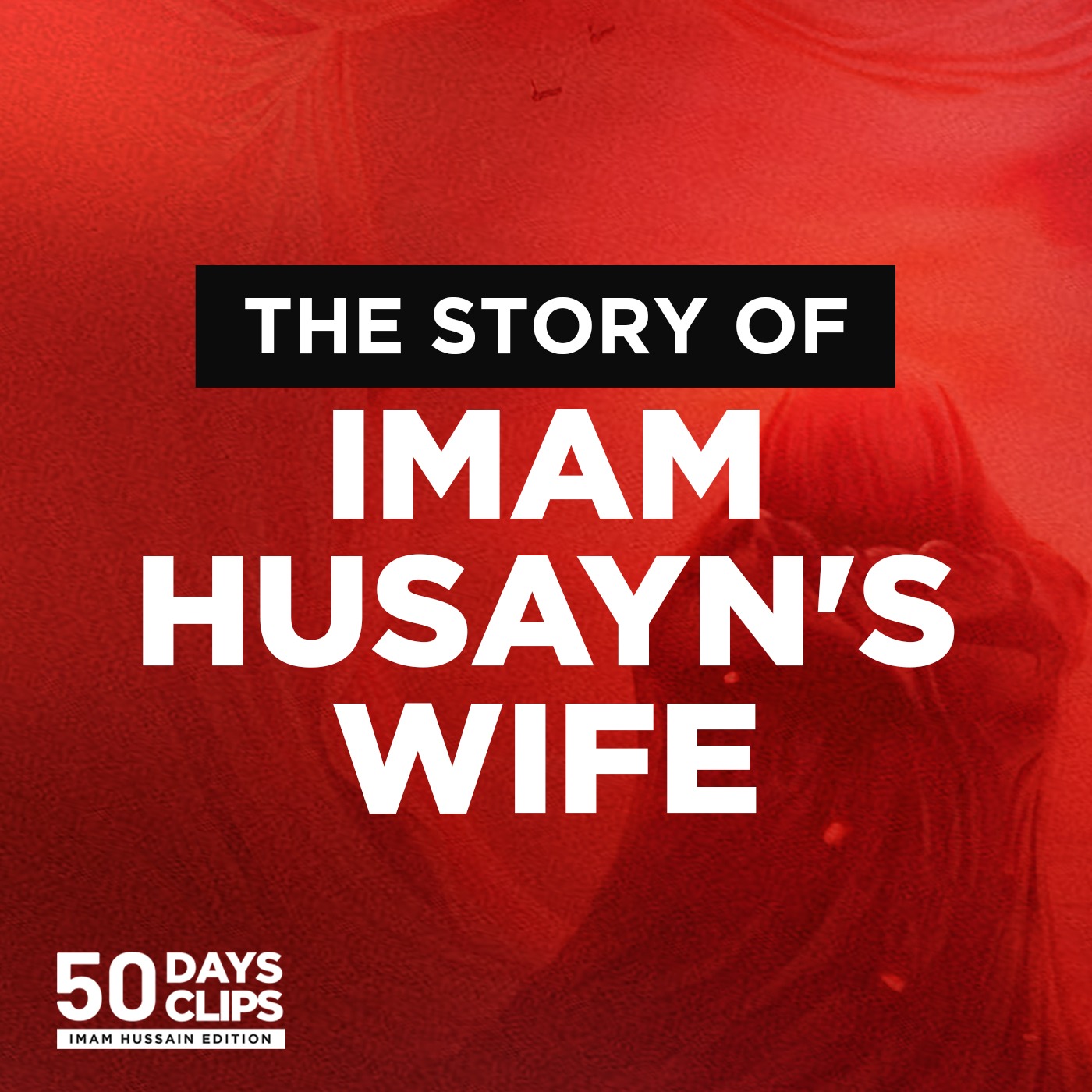 Day 44: Lady Rabab & Her Undying Love for Imam Husayn | Sayed Moustafa Qazwini episode artwork