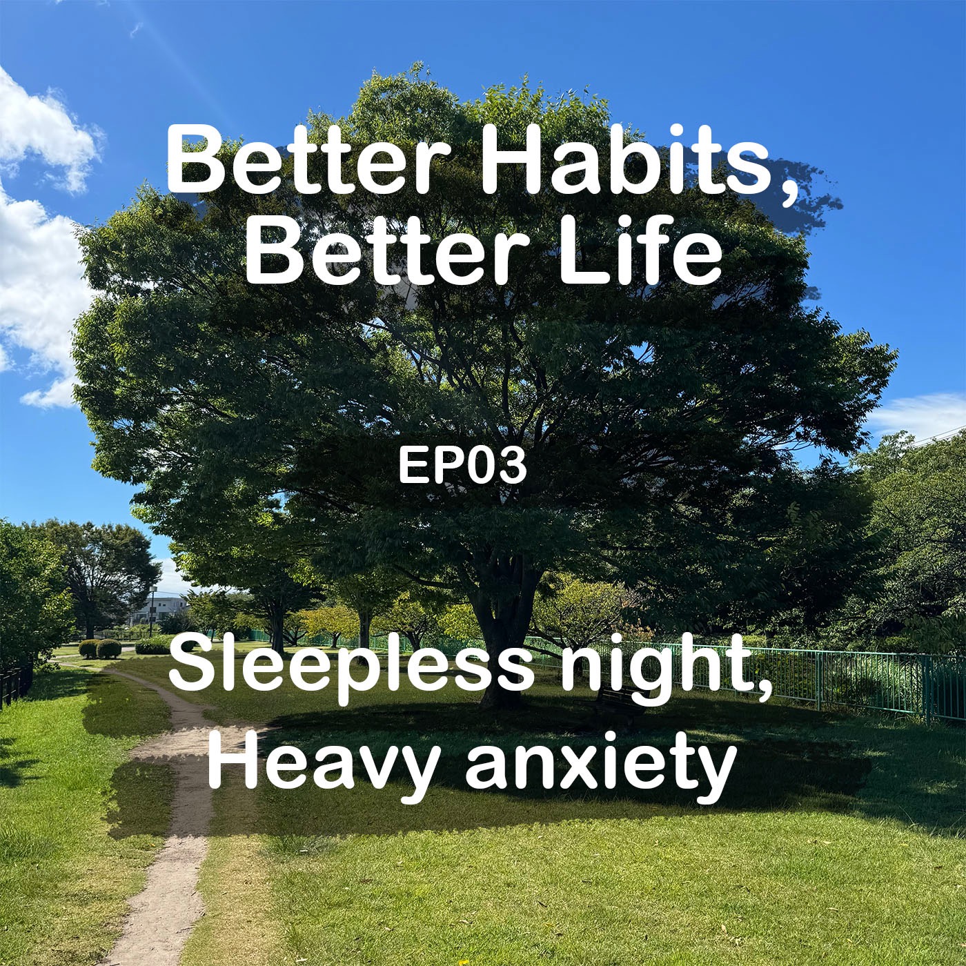 Sleepless night, heavy anxiety episode artwork