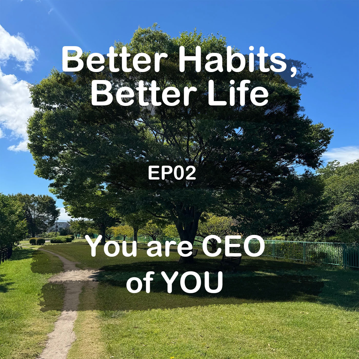 You’re CEO of YOU episode artwork