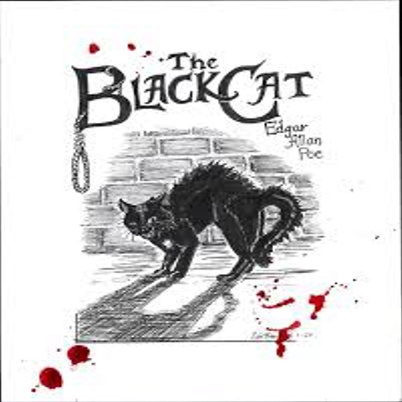 The Black Cat