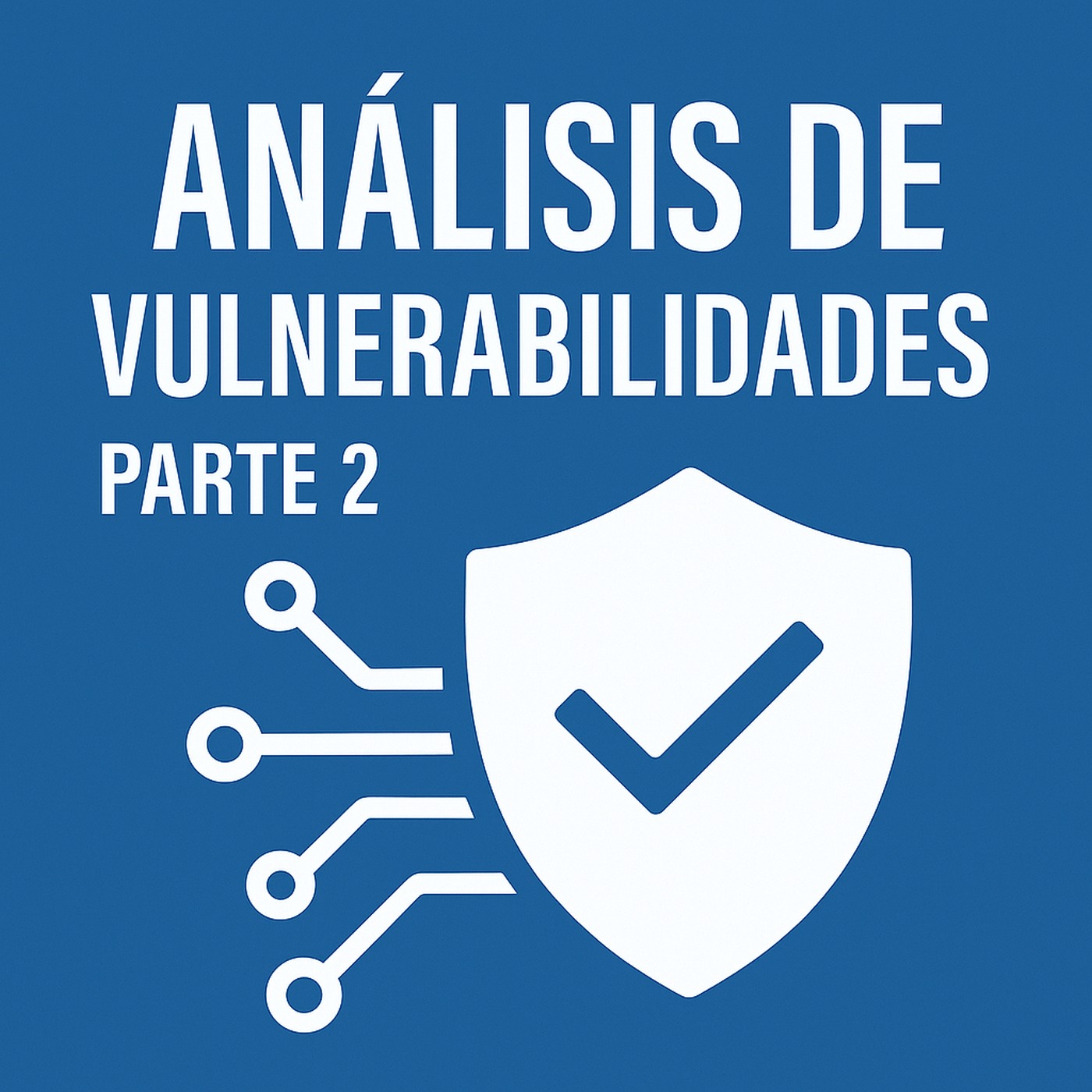Capítulo 17 (Análisis de vulnerabilidades. Parte 2/2)