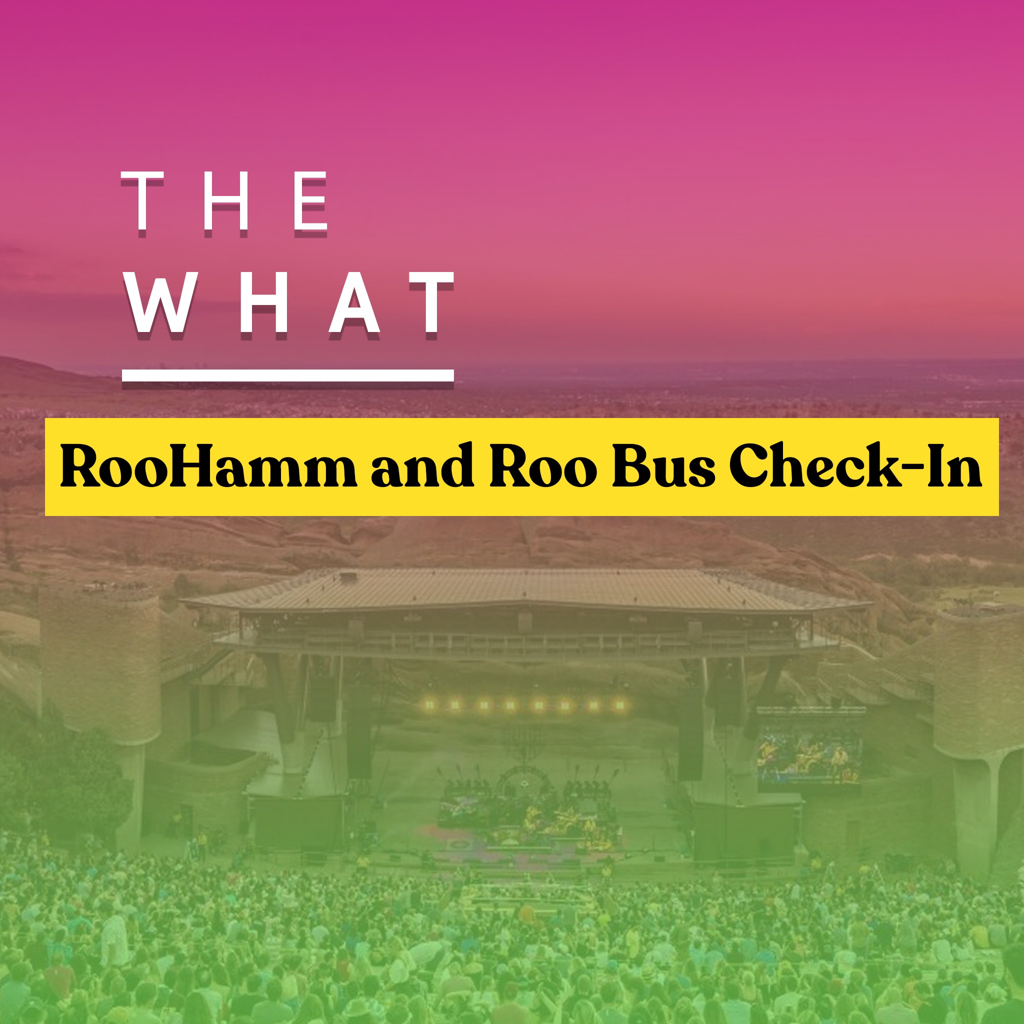 Red Rocks, My Morning Jacket, and Bonnaroo Stories: RooHamm & Roo Bus Catch-Up