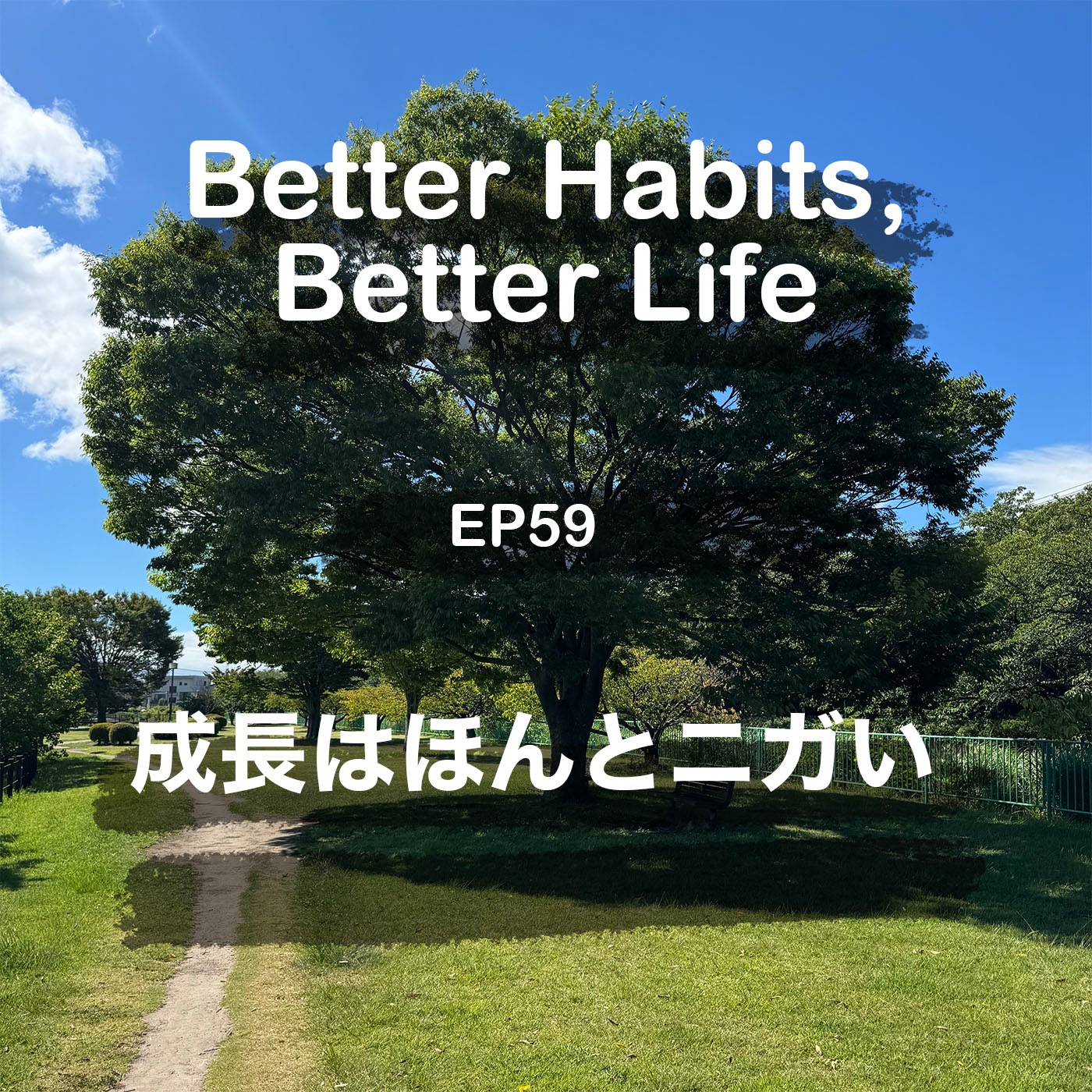 人は苦い体験の中で成長していく - 苦い思いをする困難は成長する機会 | #59 こーちゃん★ episode artwork