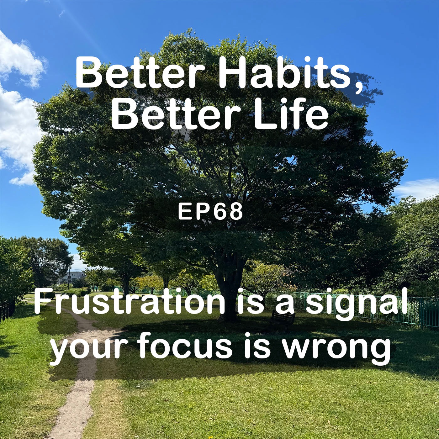 Frustration is a signal that you focus on a wrong thing | #68 Koji Ohata episode artwork