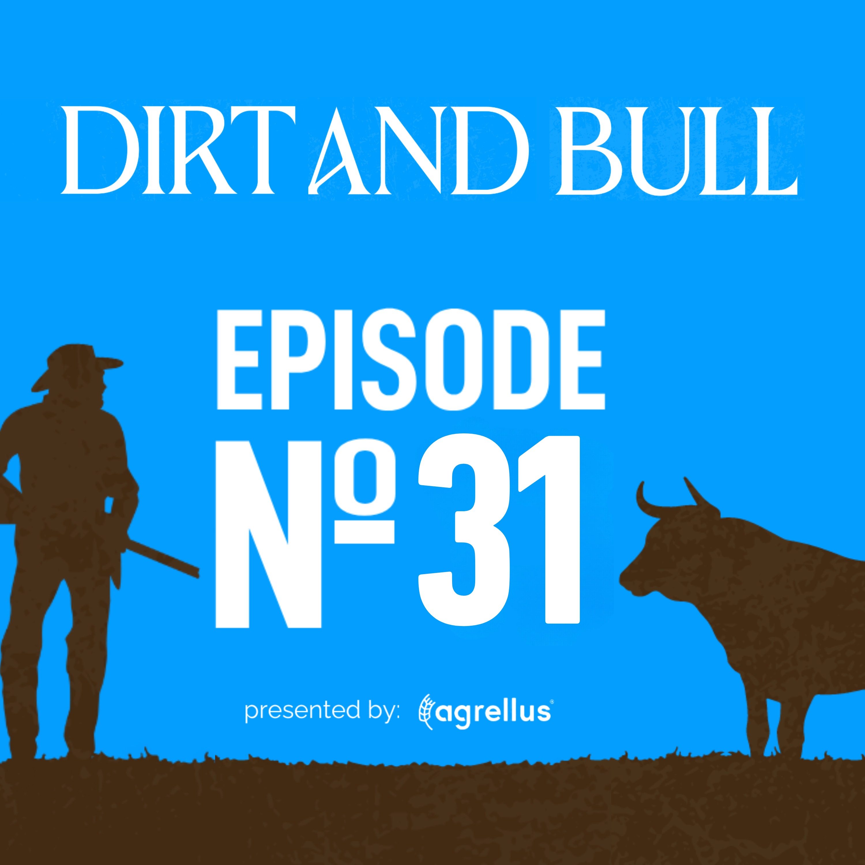 Dirt and Bull