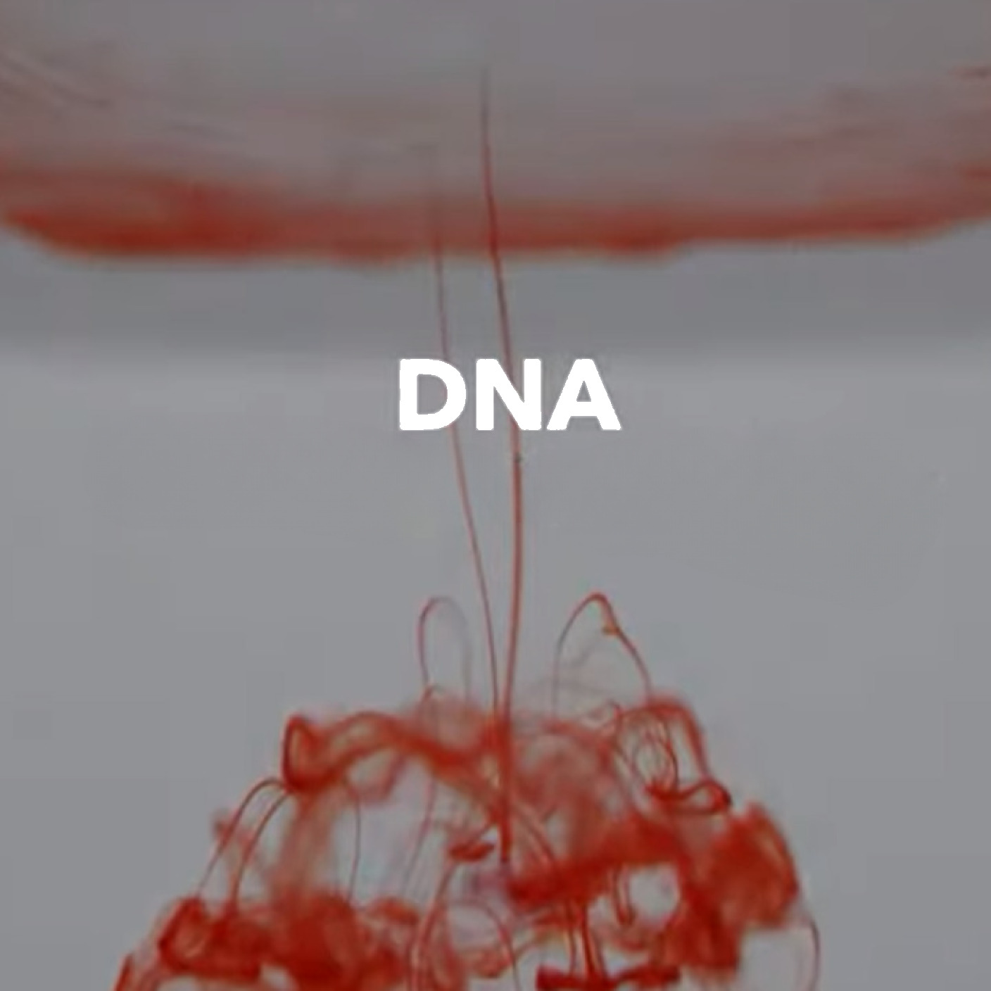 The Story Behind the DNA Knife.