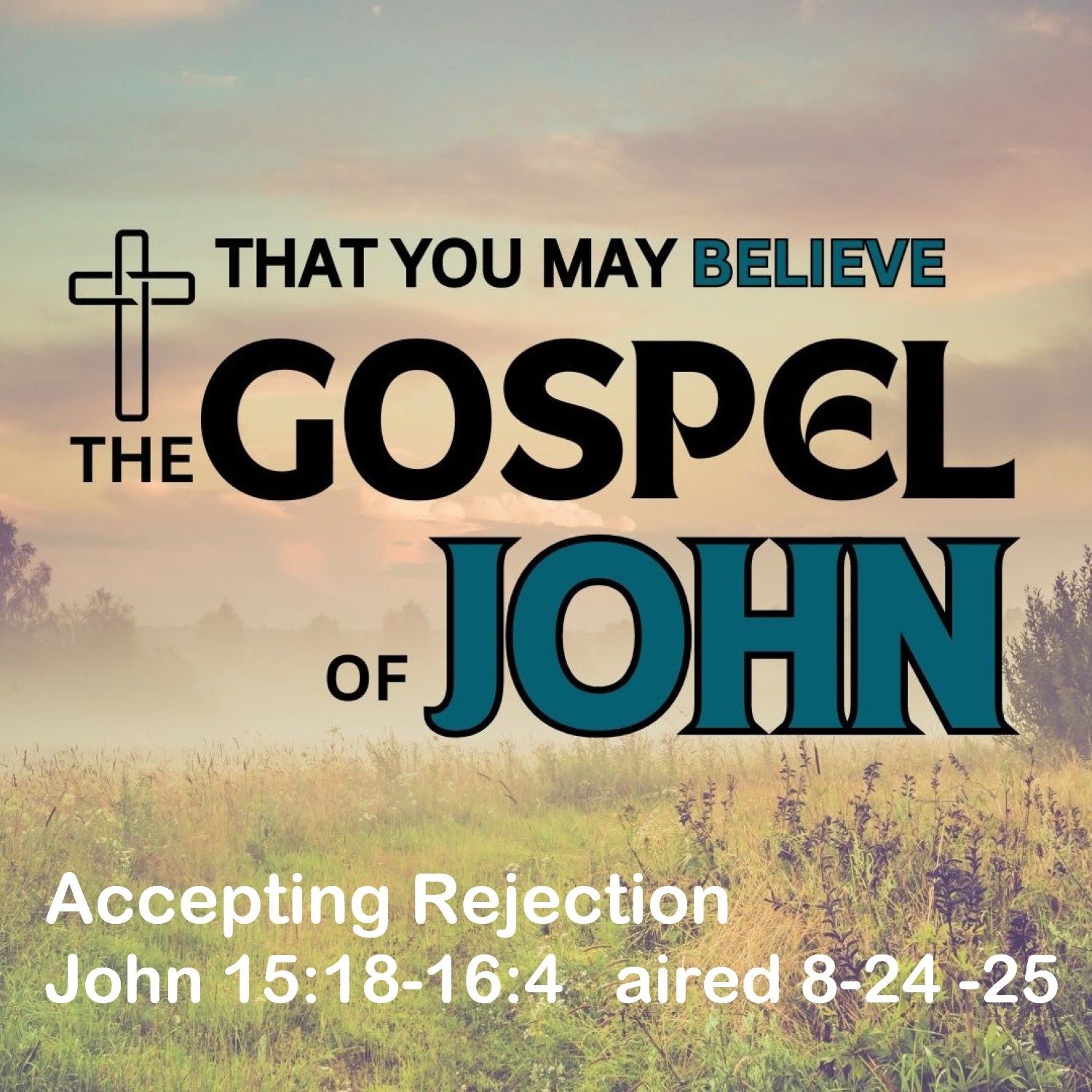 2025.08.24 Accepting Rejection John 15:18-16:4 episode artwork