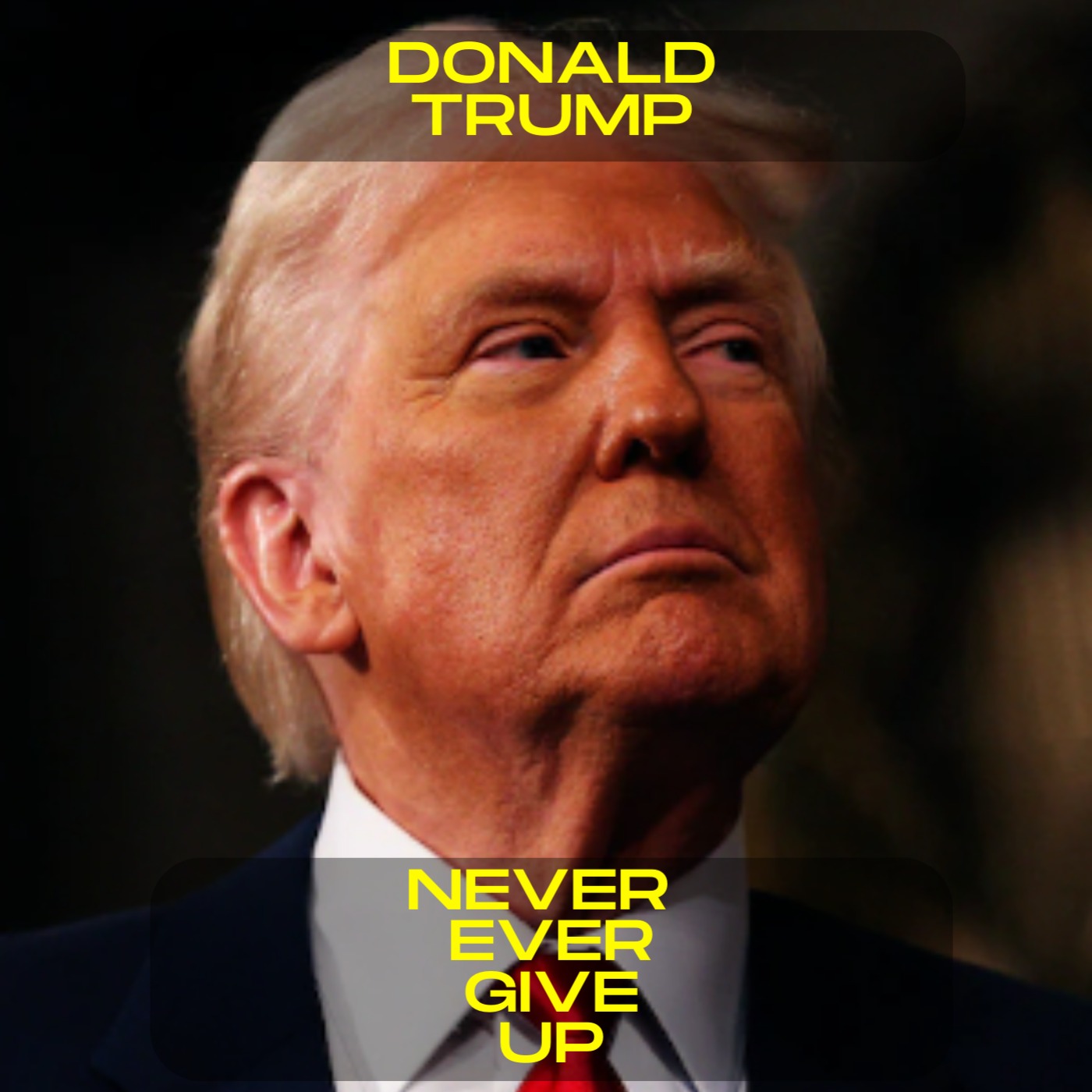 Donald Trump - Never ever give up motivational speech