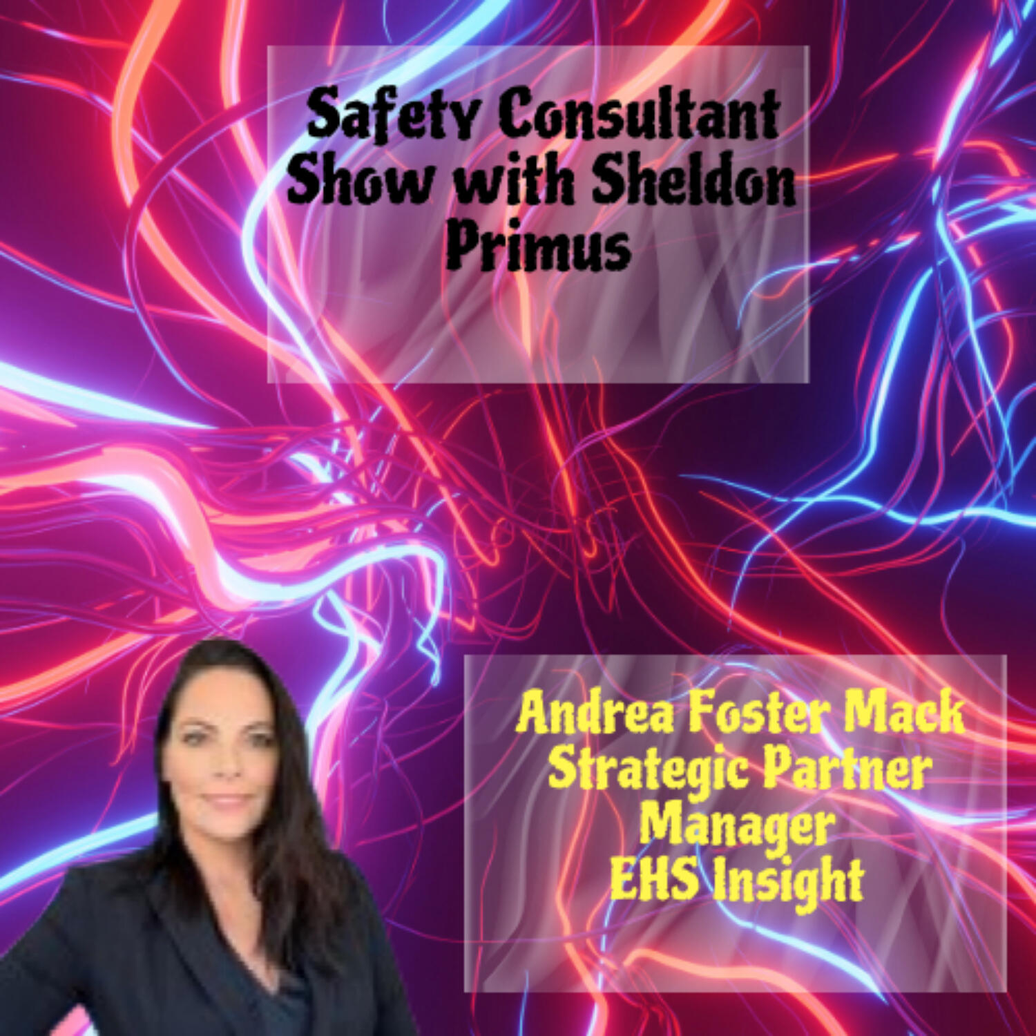The Safety Consultant Podcast