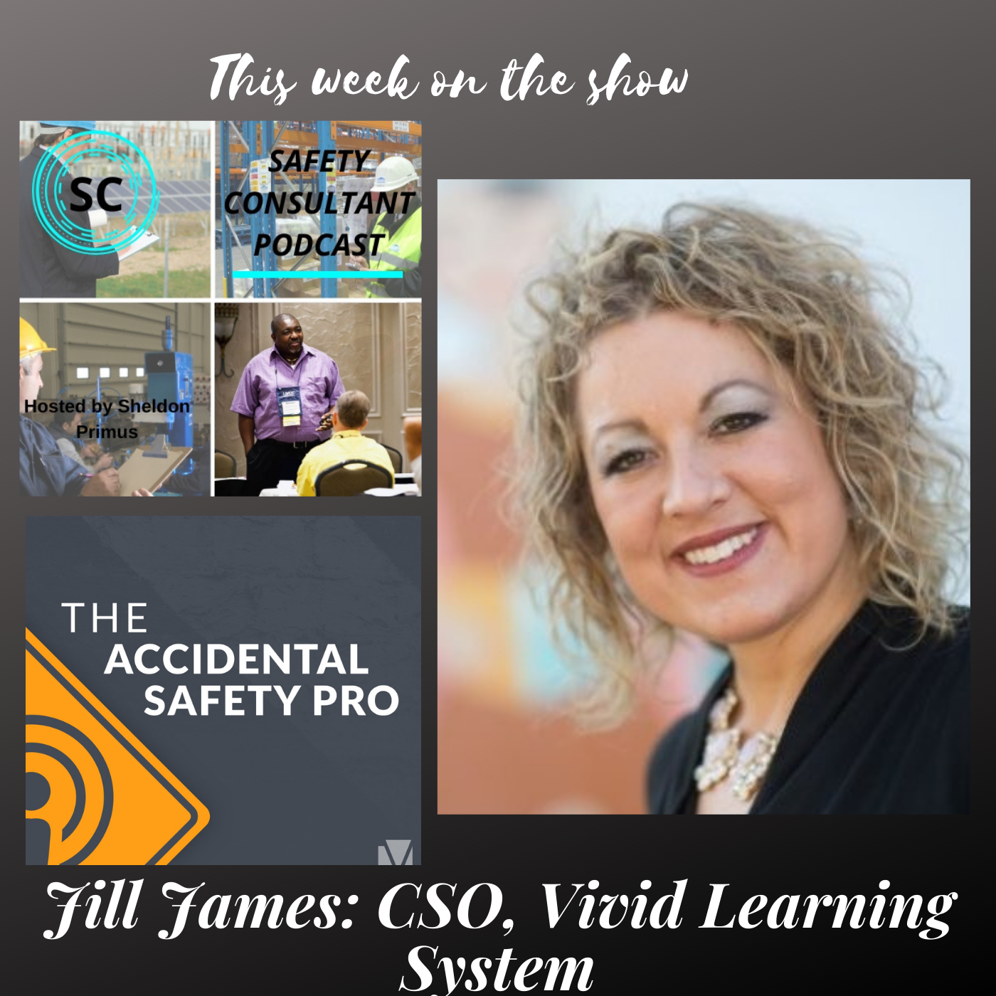 The Safety Consultant Podcast