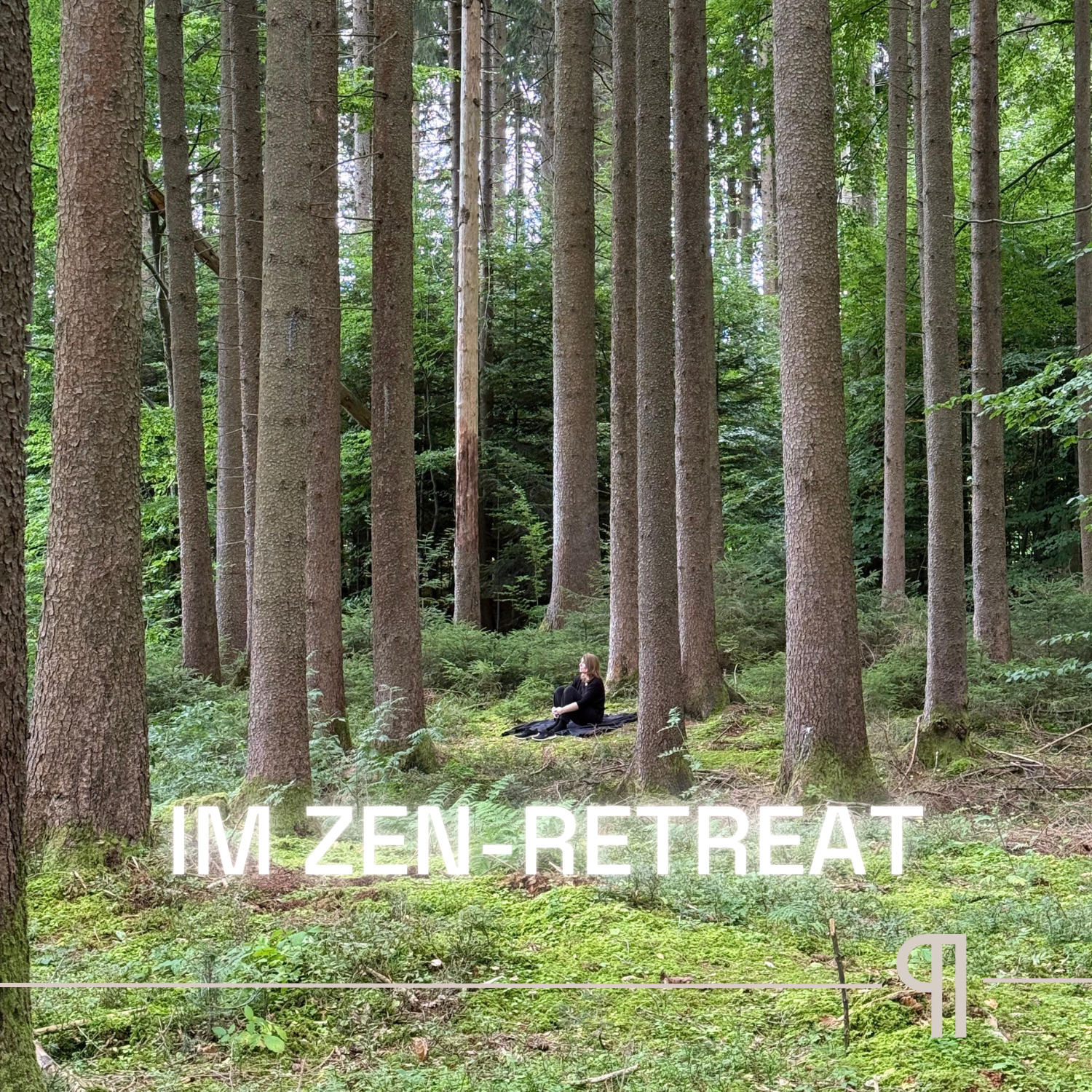 #70 🌿 So war das Zen-Retreat: der Erfahrungsbericht