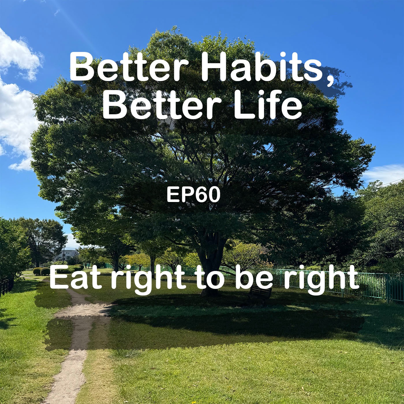 Eat right to be right - Stop disrespecting your body with unhealthy diet | #60 Koji Ohata episode artwork