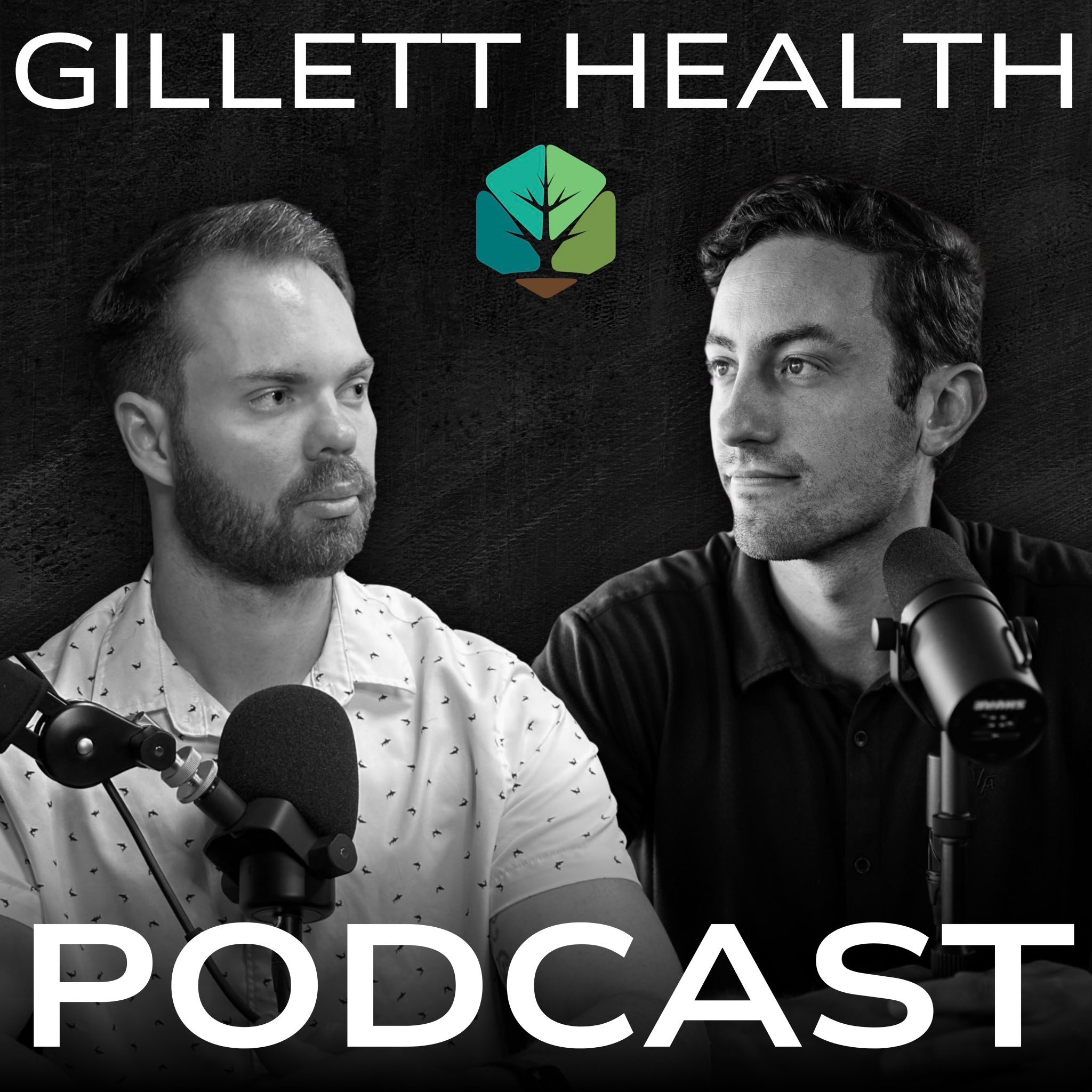 Dr. Gillett explains potential Autism causes
