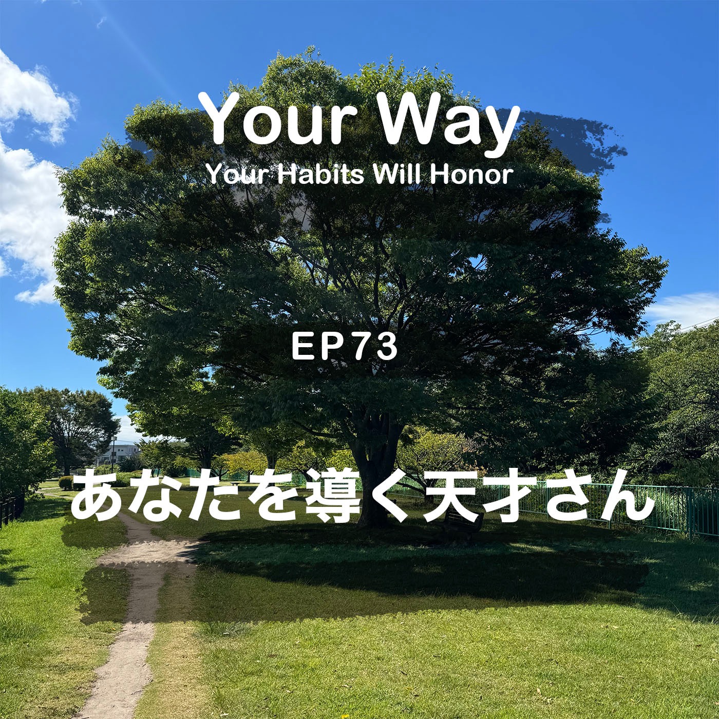 あなたを導く天才さん、嫌なことがあると隠れちゃう | #73 こーちゃん★ episode artwork