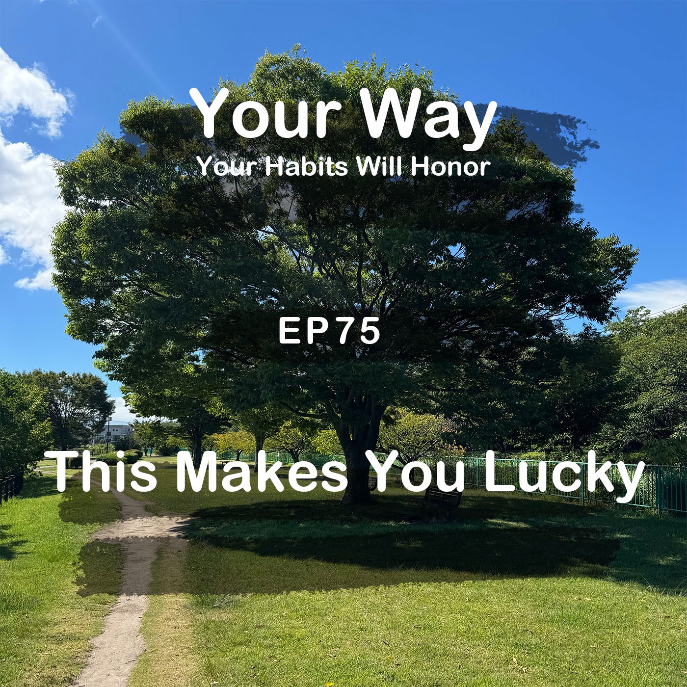 This Makes You Lucky! It's Getting Popular In Japan | #75 Koji Ohata episode artwork