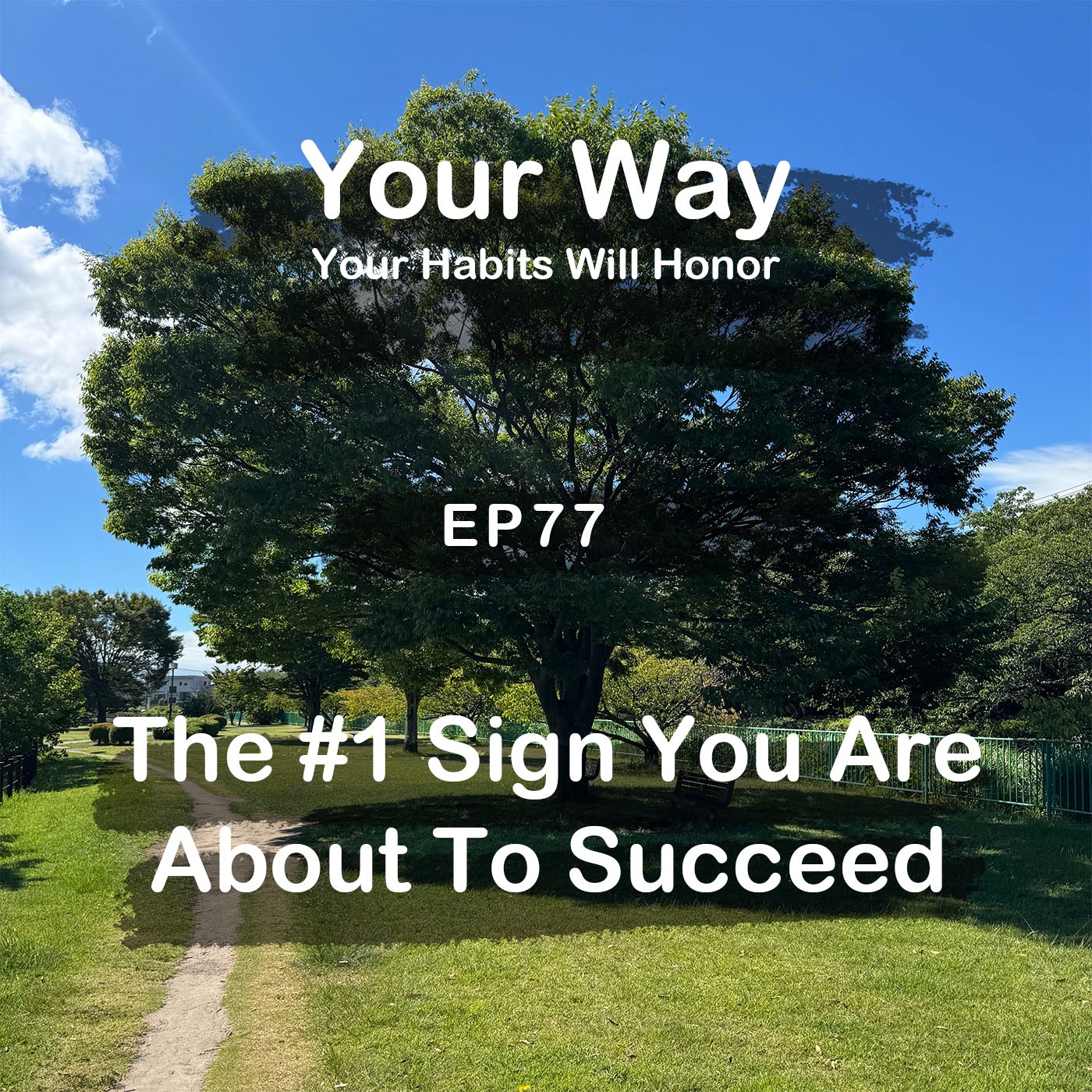 The #1 Sign You're About to Succeed | #77 Koji Ohata episode artwork