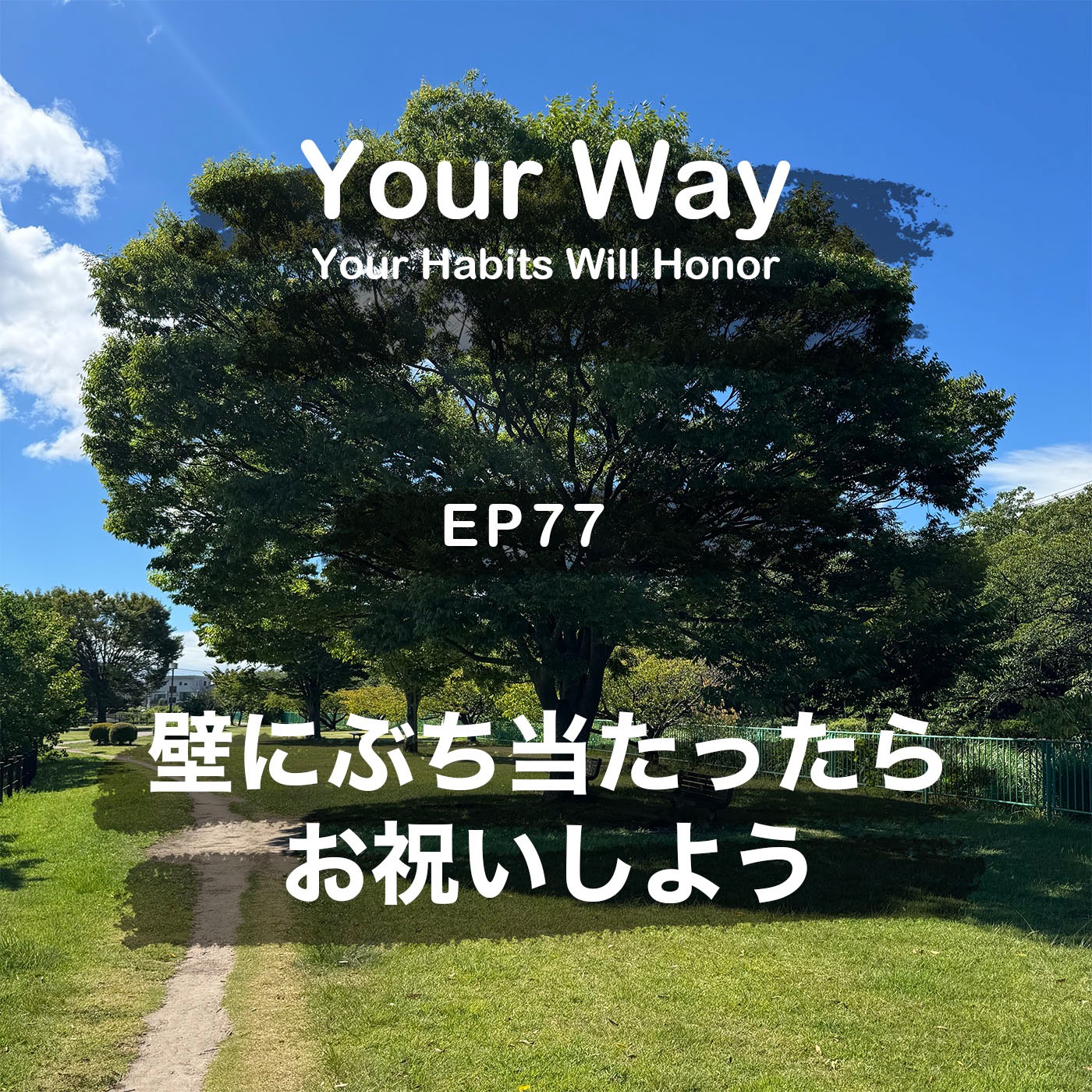 壁にぶち当たったらお祝いしよう！ その壁は次のステージに行く扉だから　| #77 こーちゃん★ episode artwork